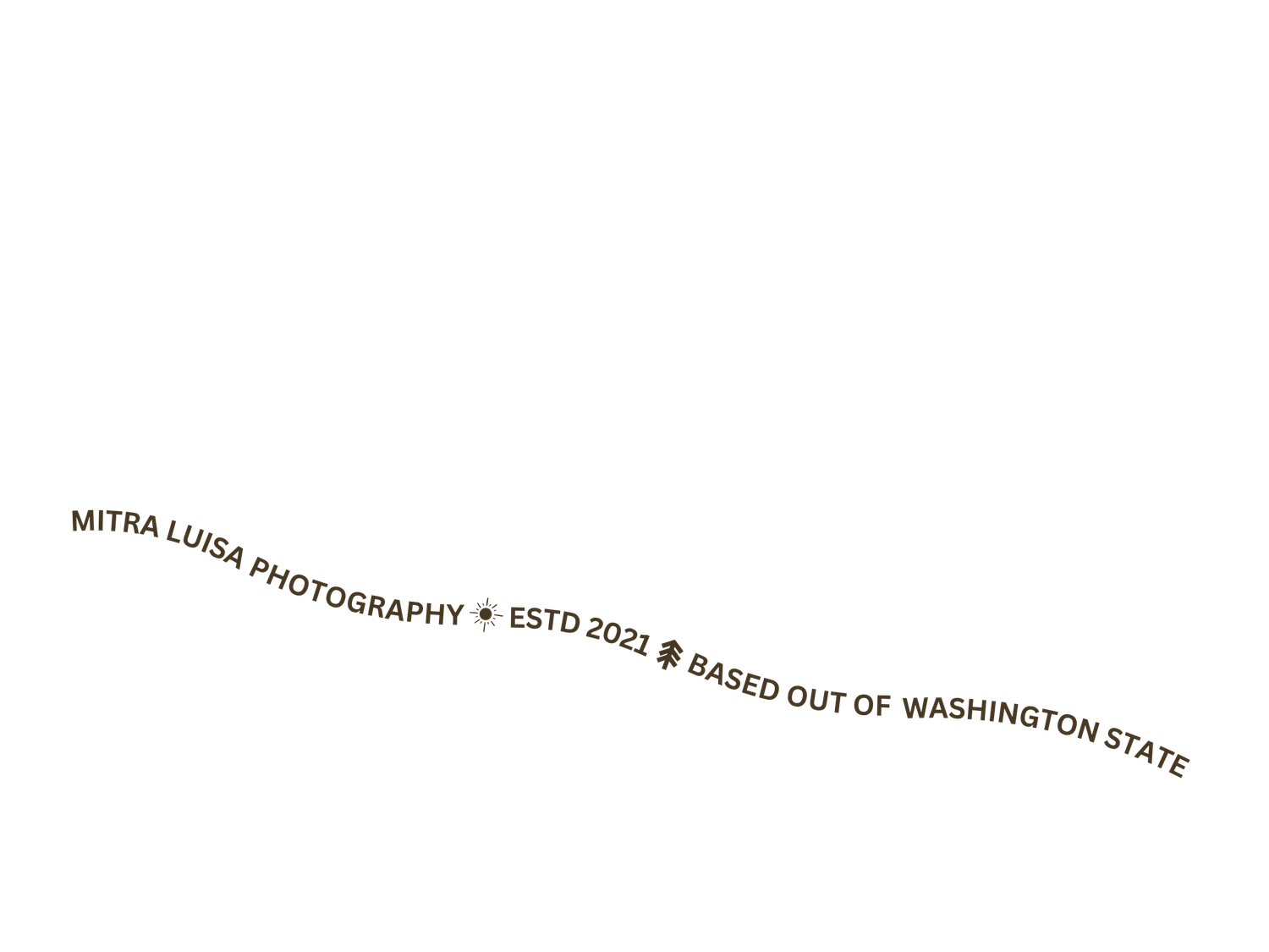A string of glowing text appearing as light trails against a black background.