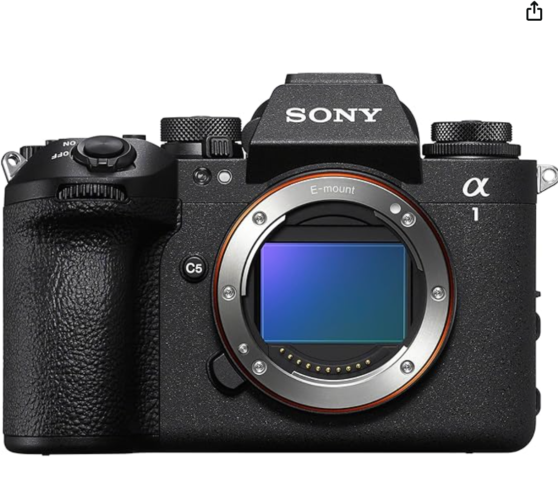 Professional Sony Alpha mirrorless camera body with E-mount lens mount and digital display shown from side angle.
