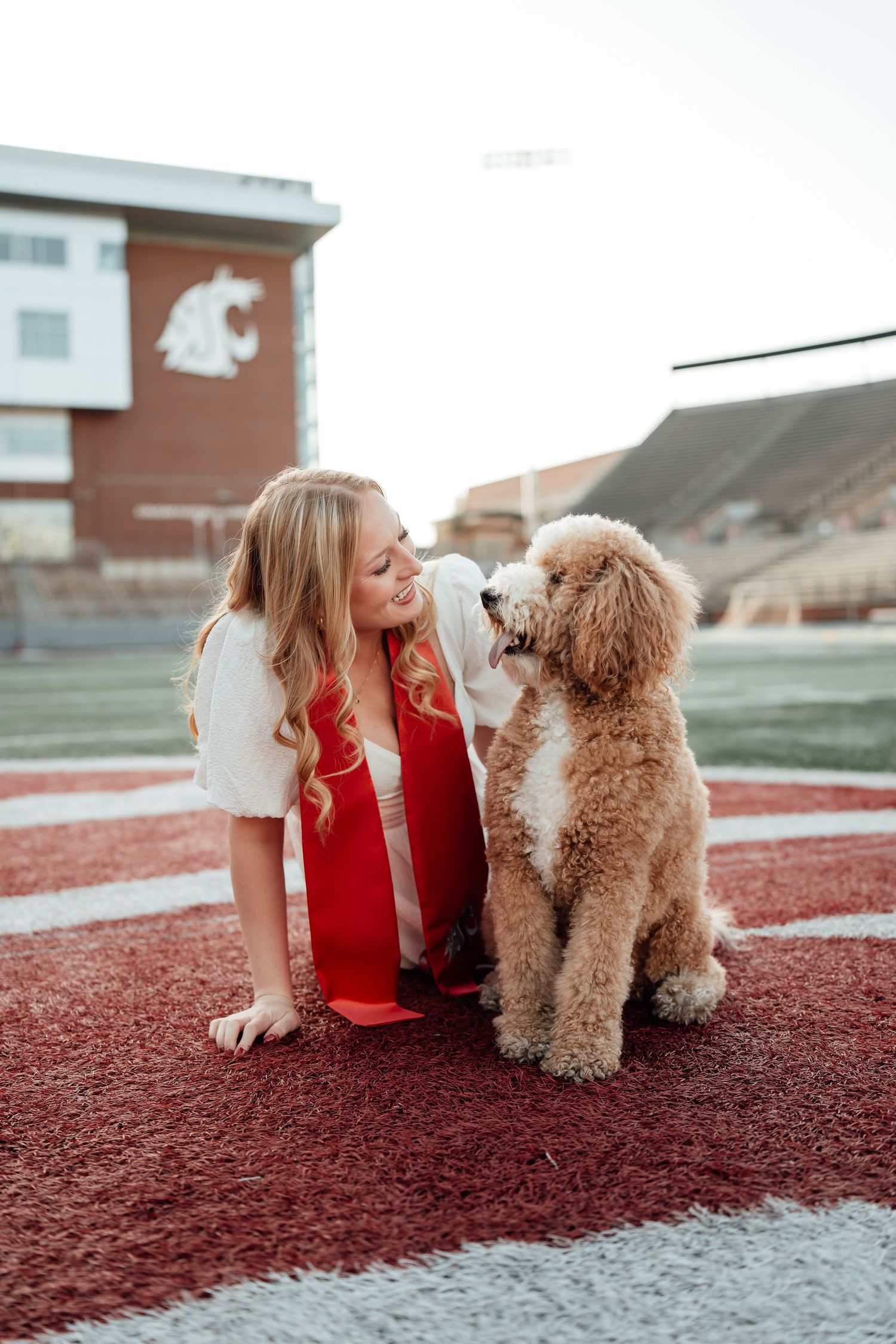 A goldendoodle dog sits with someone in red on a track field at a stadium.