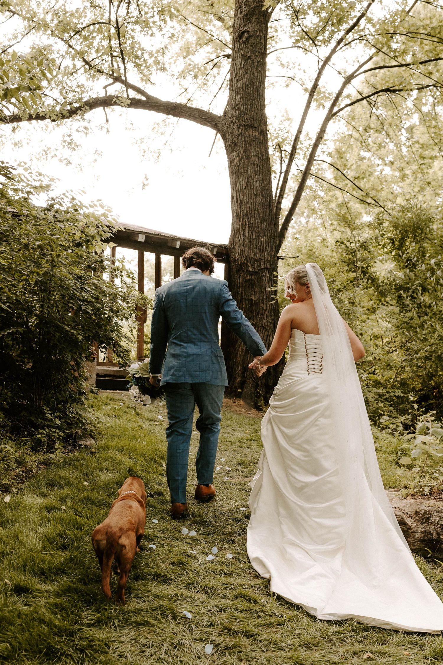 Bride and groom walking hand in hand with their dog through a lush garden on their wedding day.