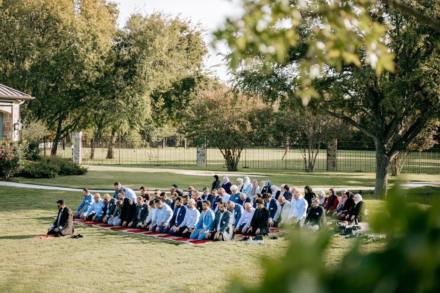 A large group in formal attire sits together on a sunny lawn surrounded by trees for an outdoor gathering in Dallas, TX.