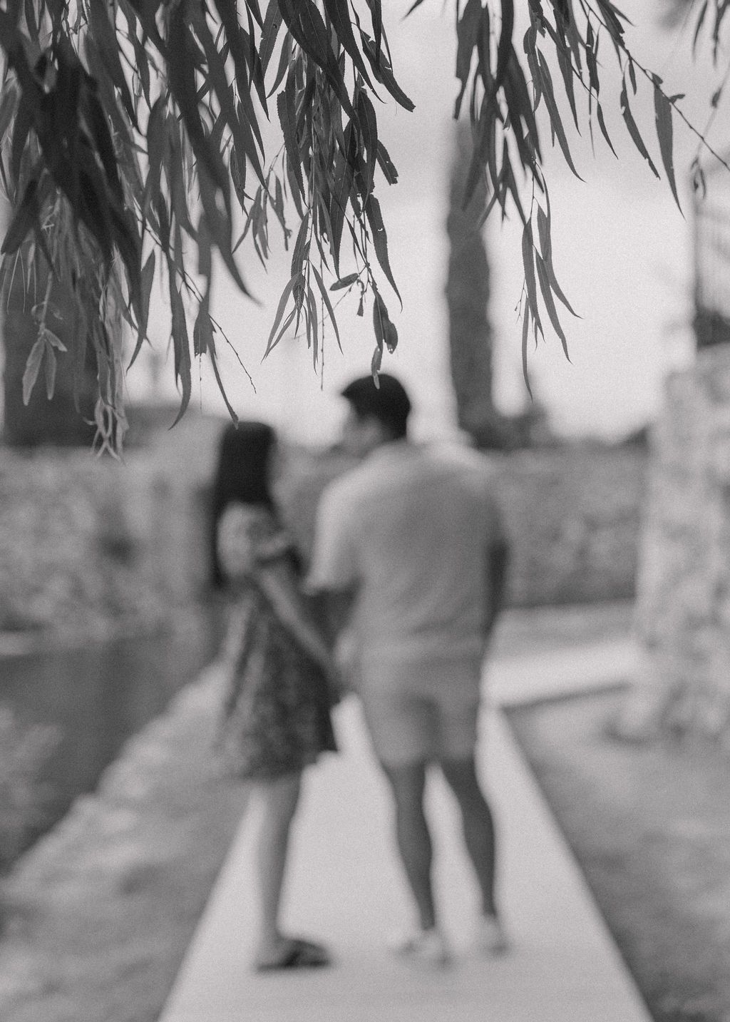 A romantic black and white photo of a couple standing on a dock under hanging foliage.