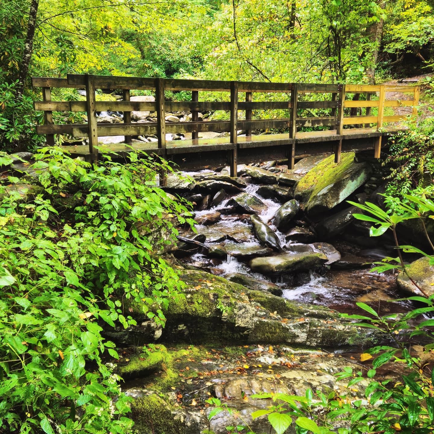 Scenic landscape photography capturing the natural beauty and mountain views of the Great Smoky Mountains.