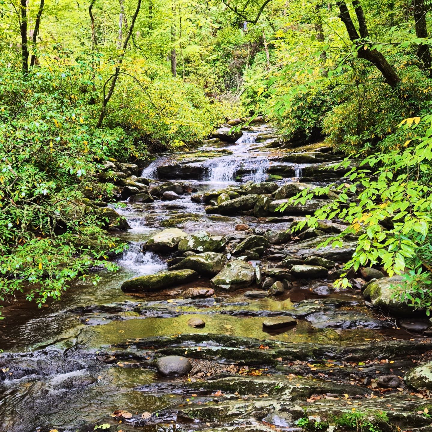 Scenic landscape photography capturing the natural beauty and mountain views of the Great Smoky Mountains.