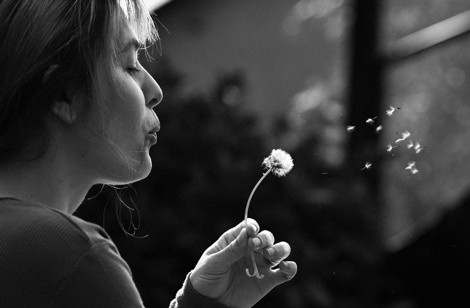 An artsy black and white photo of a woman blowing on a dandelion.