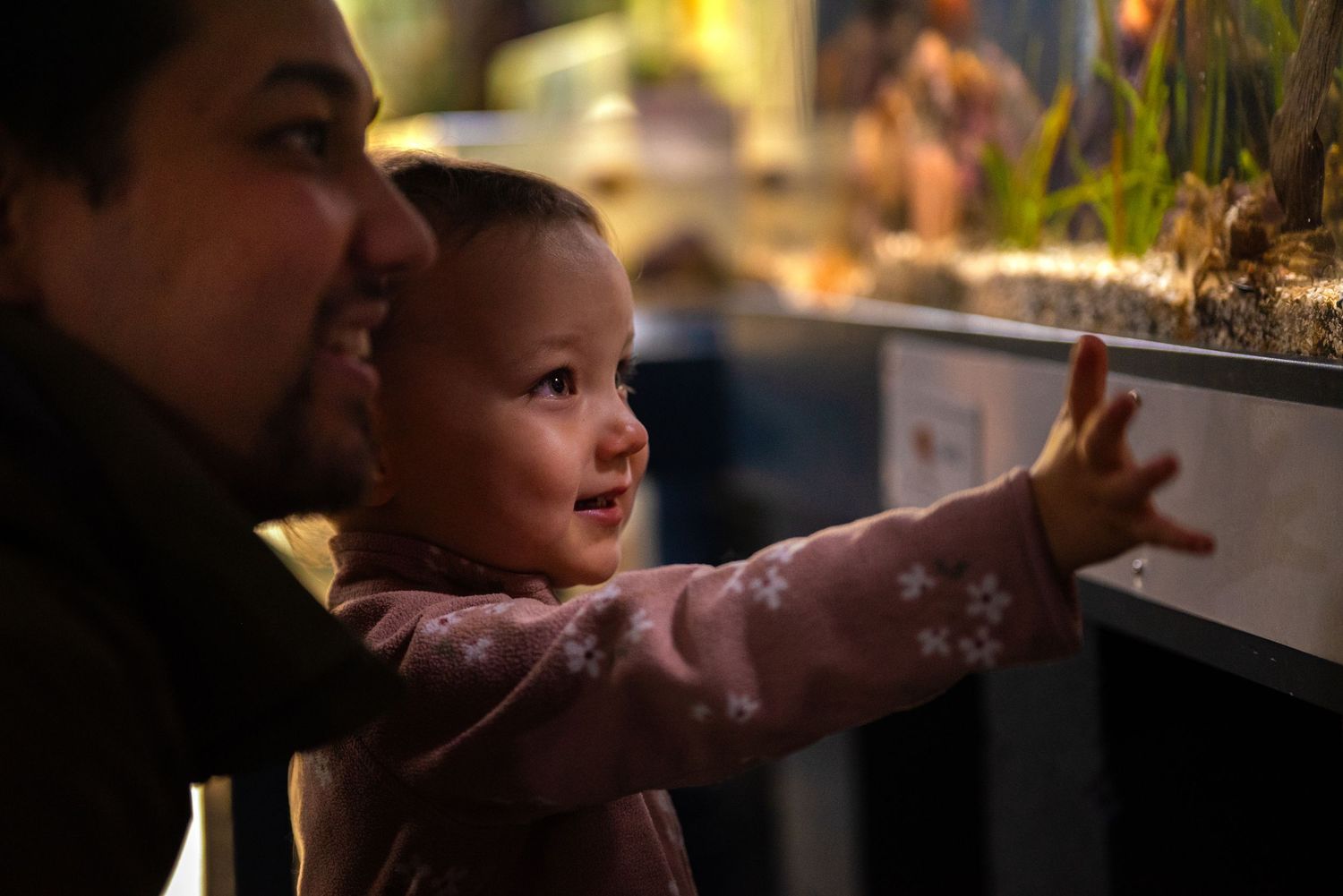 A man and his daughter looking in an aquarium.