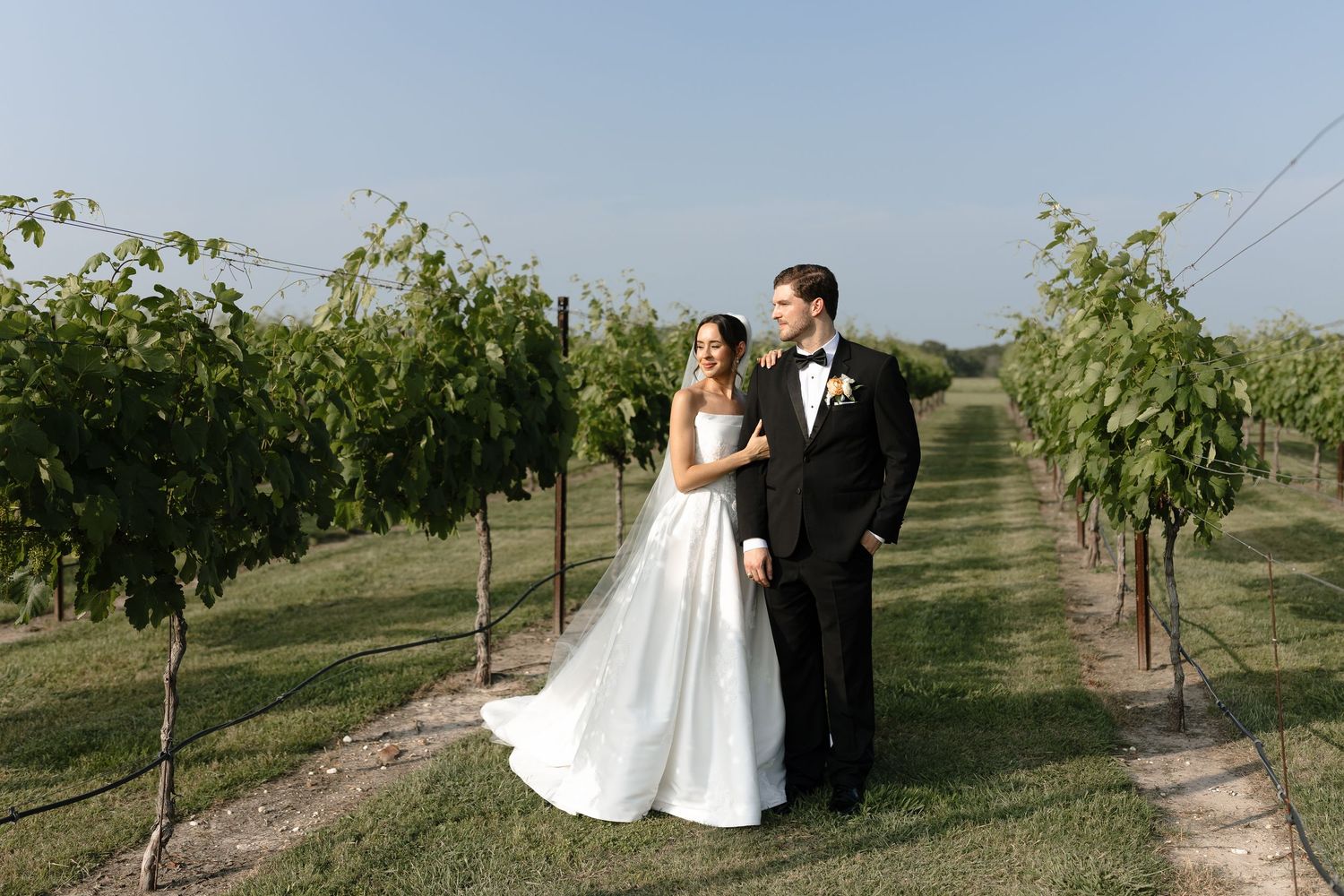 Bride and groom share intimate moment walking together through lush vineyard rows at sunset.