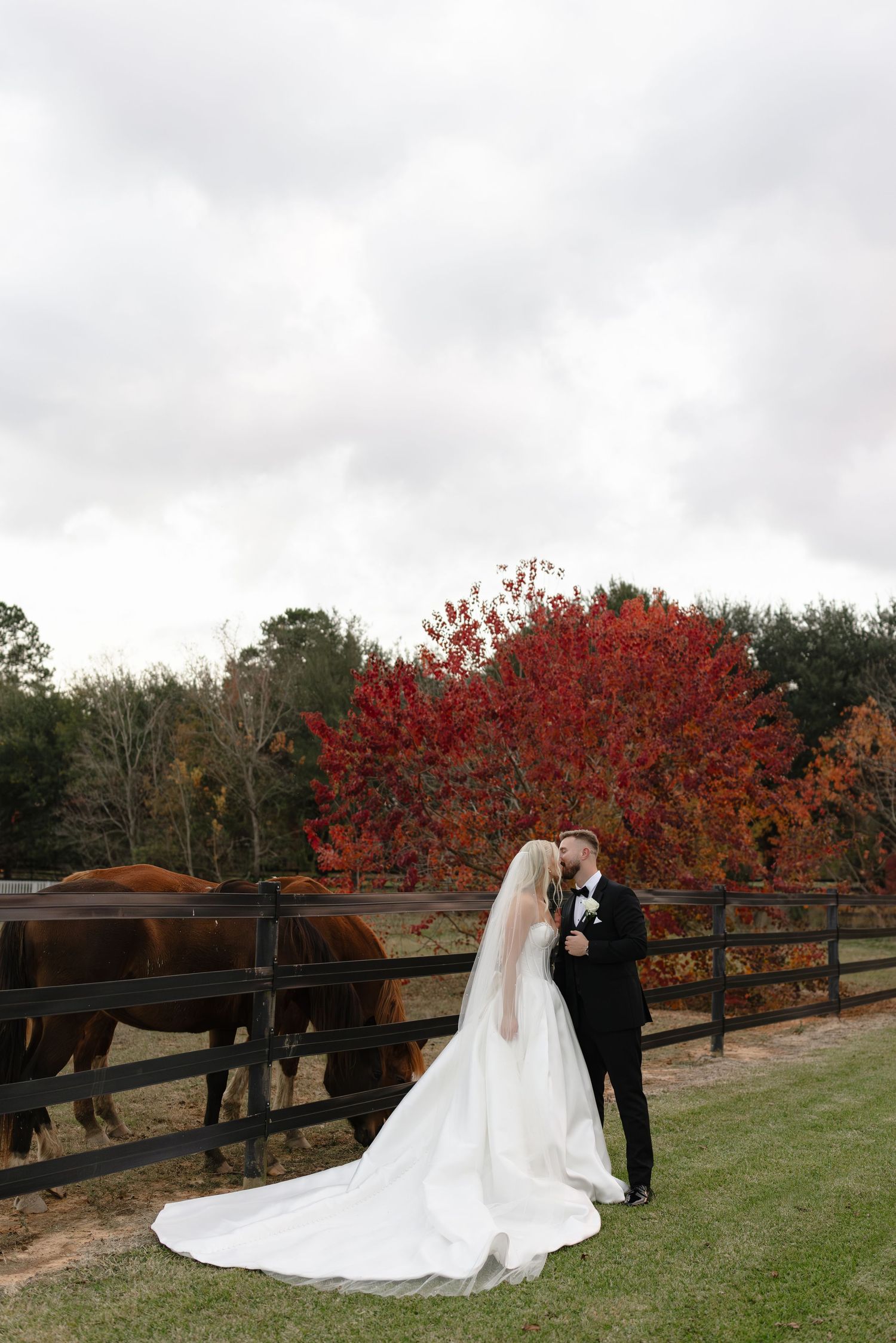 Bride and groom embrace near horses and vibrant red autumn foliage at outdoor farm wedding.