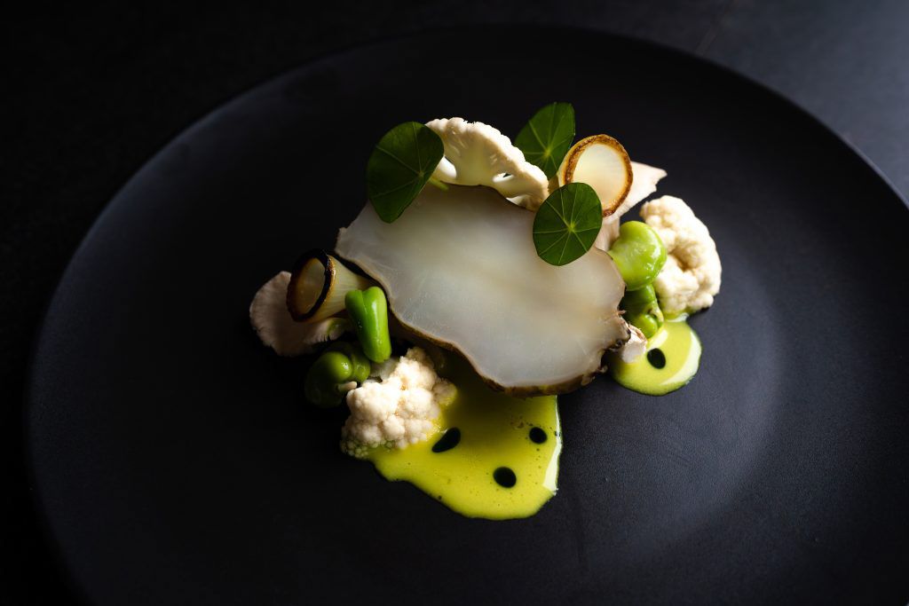 Artistic fine dining plate featuring white fish, cauliflower florets, and vibrant green herb oil.