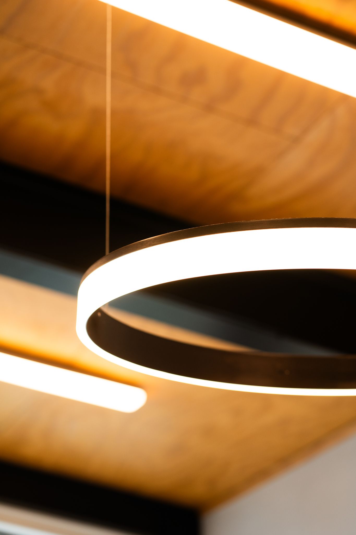 Close-up of a modern circular LED ring pendant light hanging from a warm wooden ceiling.