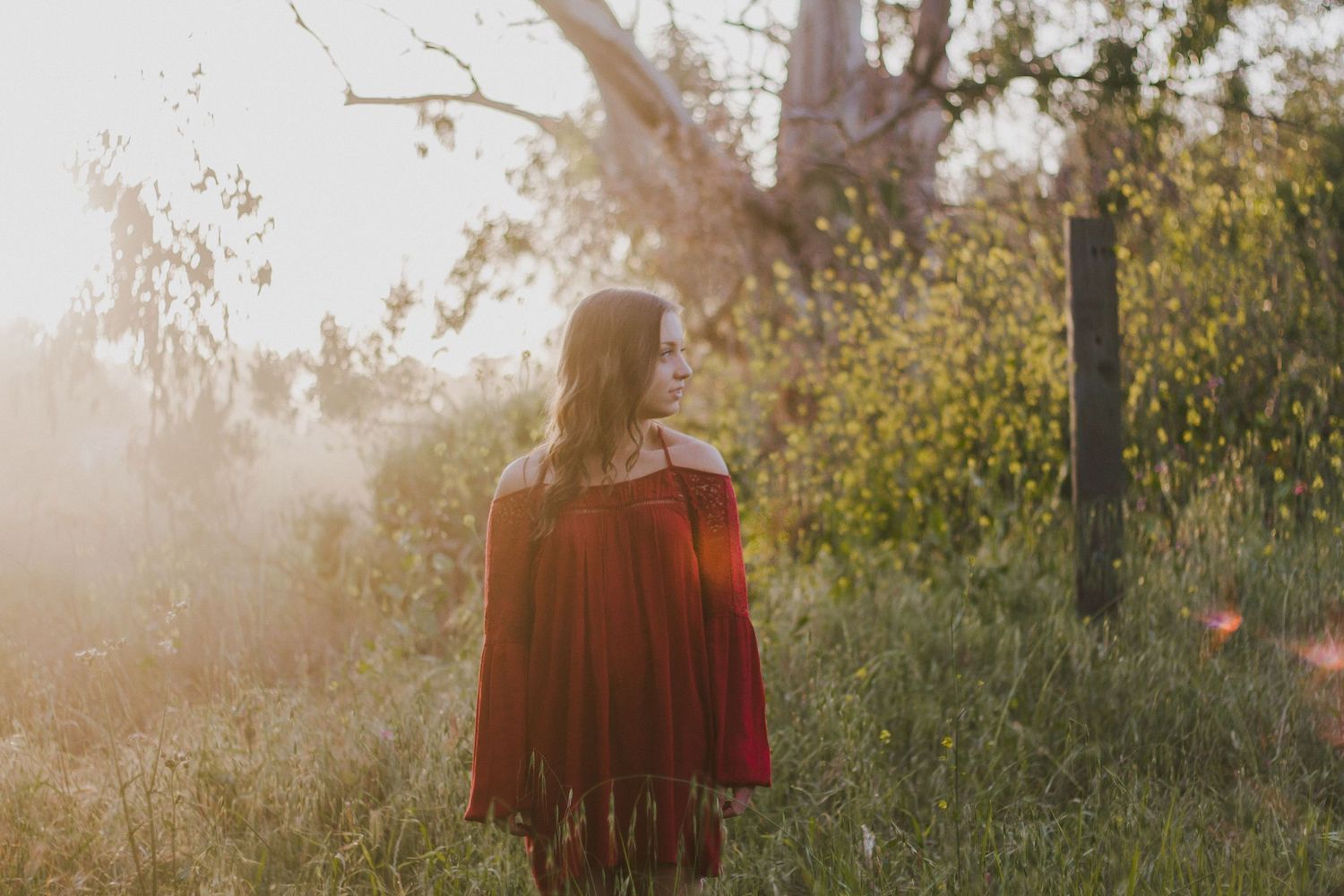 Woman in red fringed dress standing in misty sunlit meadow near wooden fence.