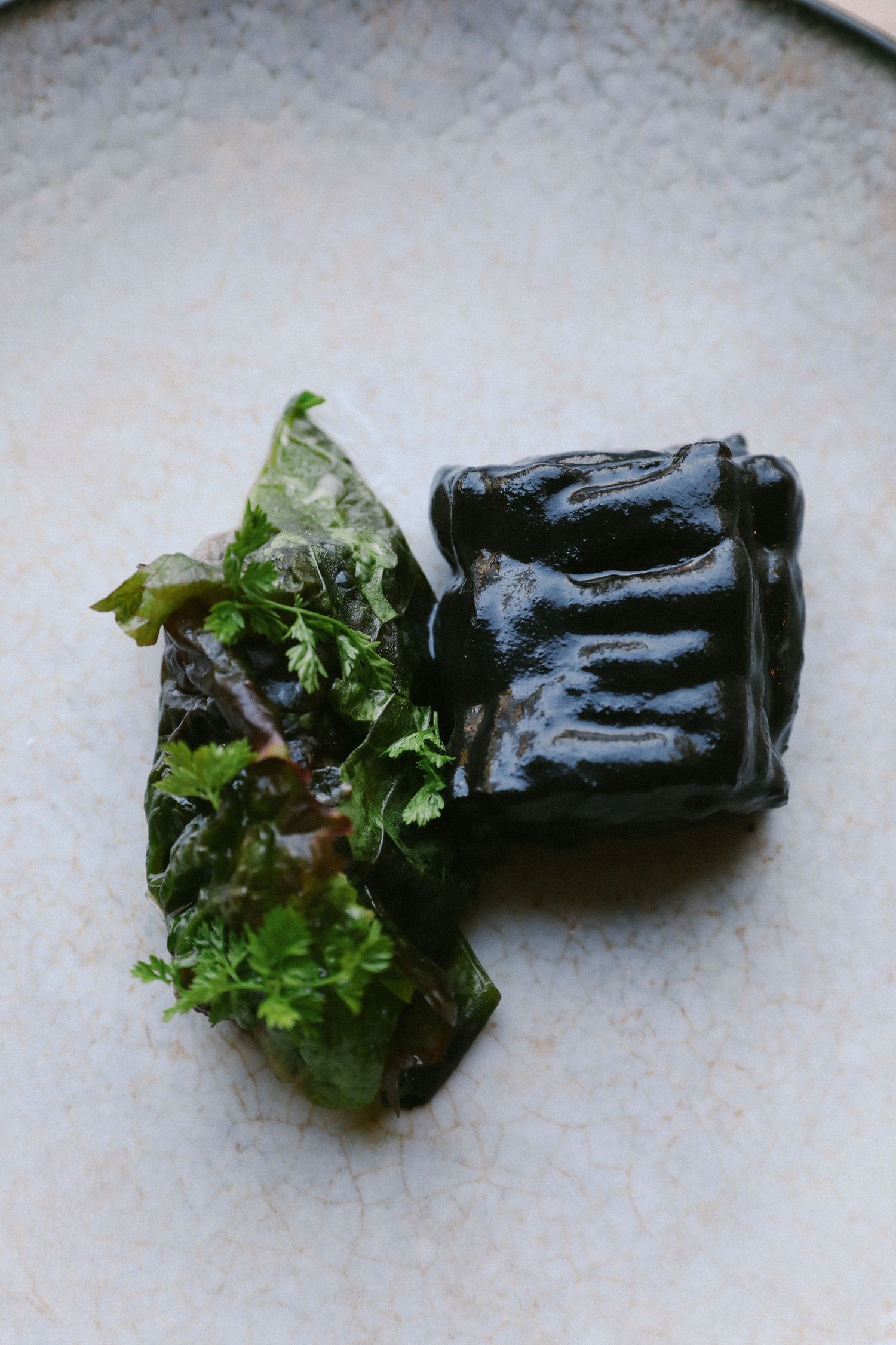 Gourmet black squid ink dish with fresh herbs and greens on ceramic plate.