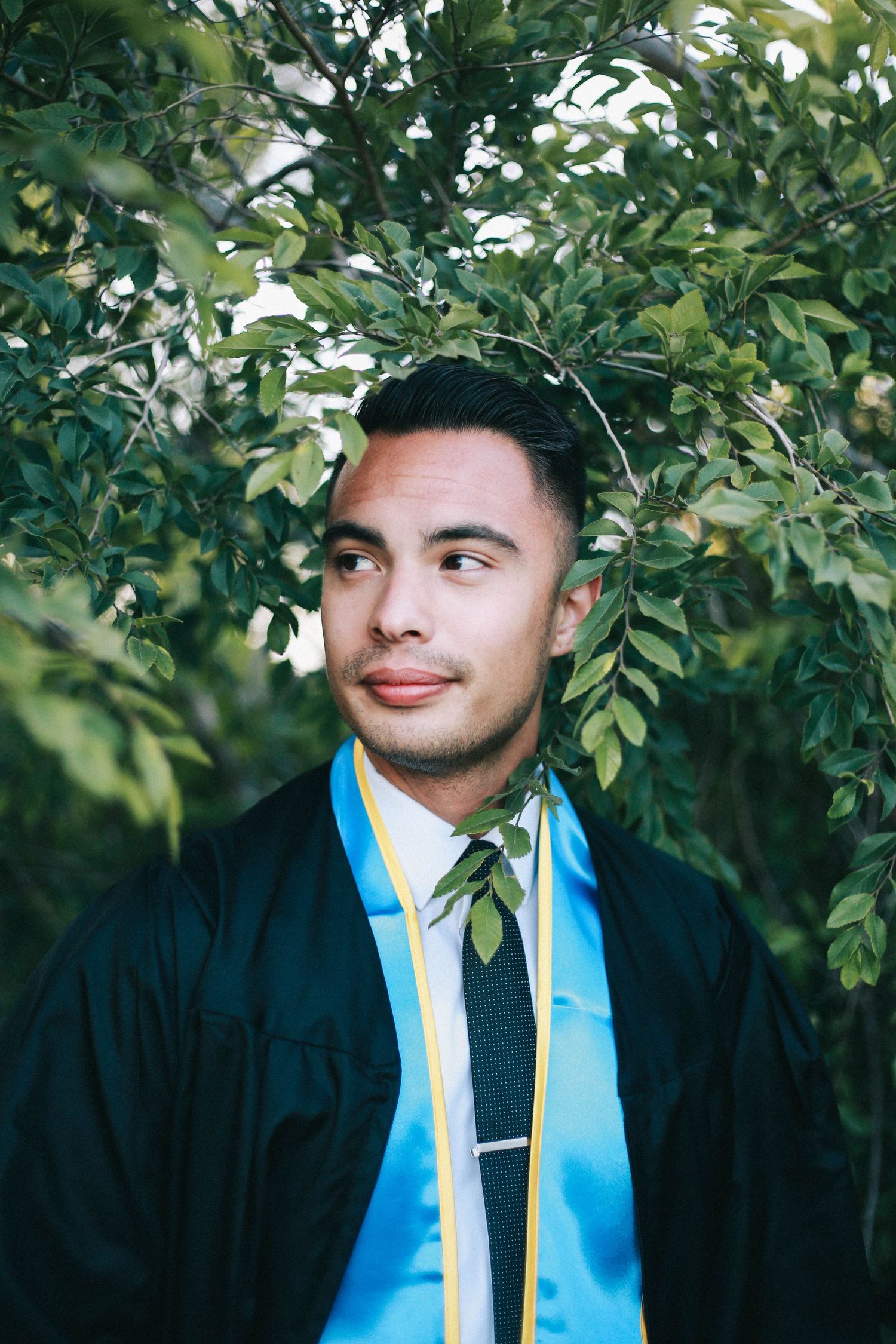 Young man in graduation gown and blue stole standing among lush green tree branches.