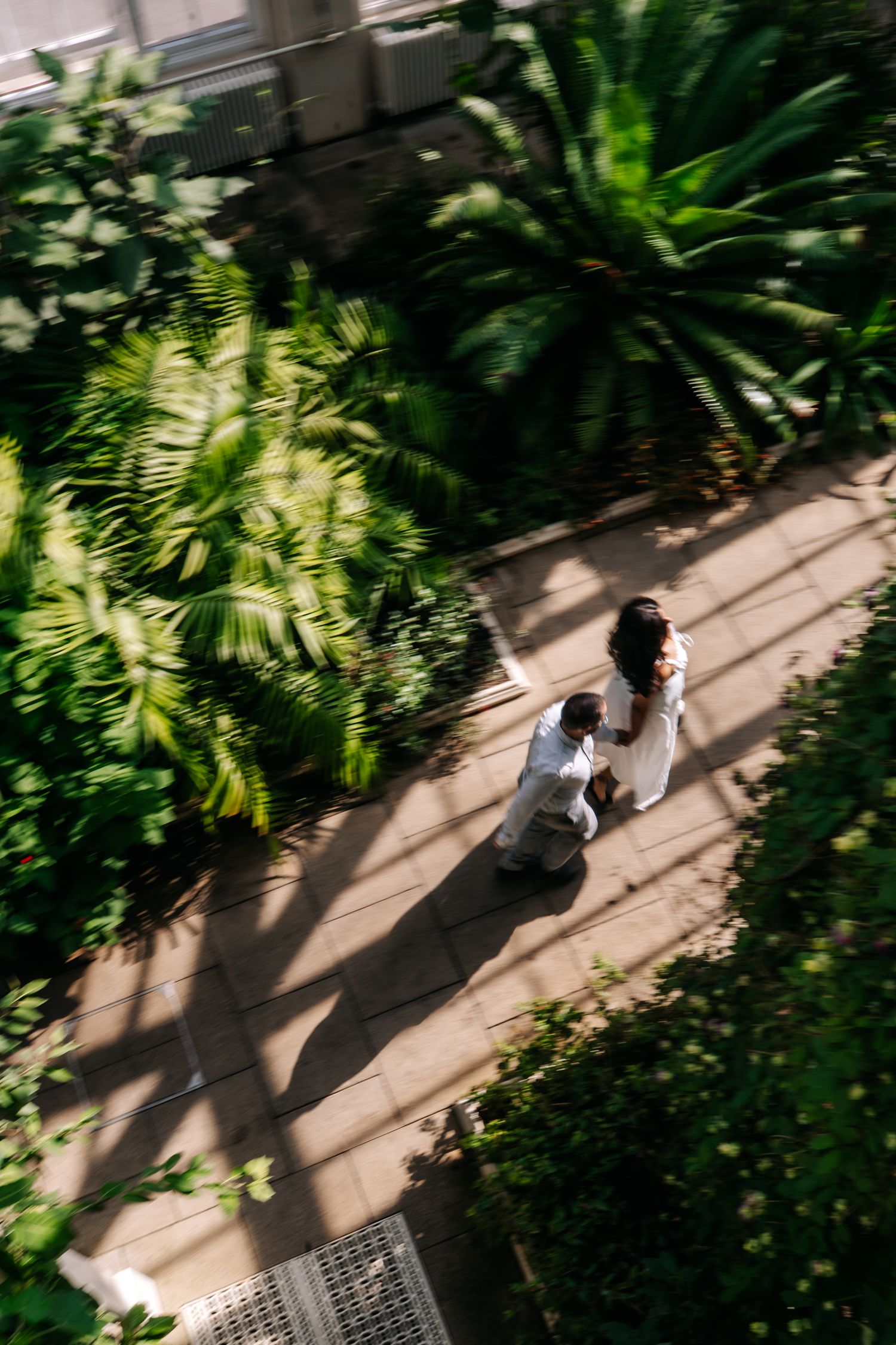 Aerial view of two people walking on a sunlit path surrounded by lush tropical green plants and palm trees.