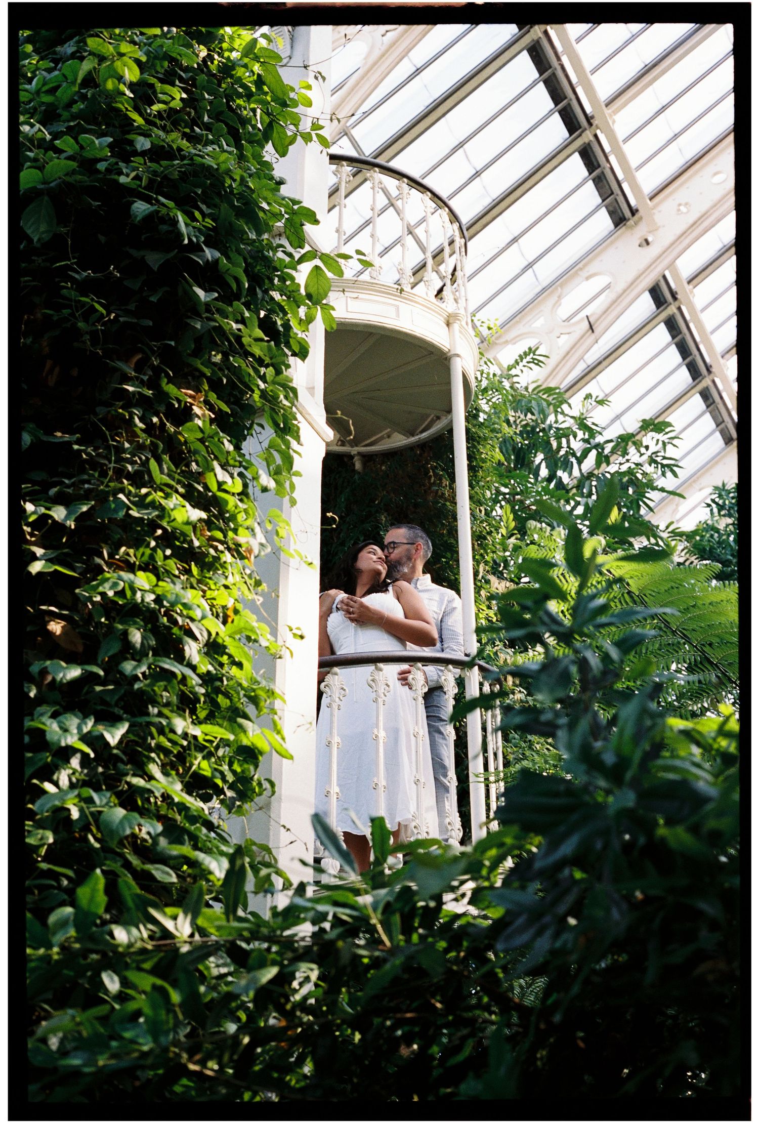 Couple embracing on a lush greenhouse balcony surrounded by tropical greenery under a glass ceiling.
