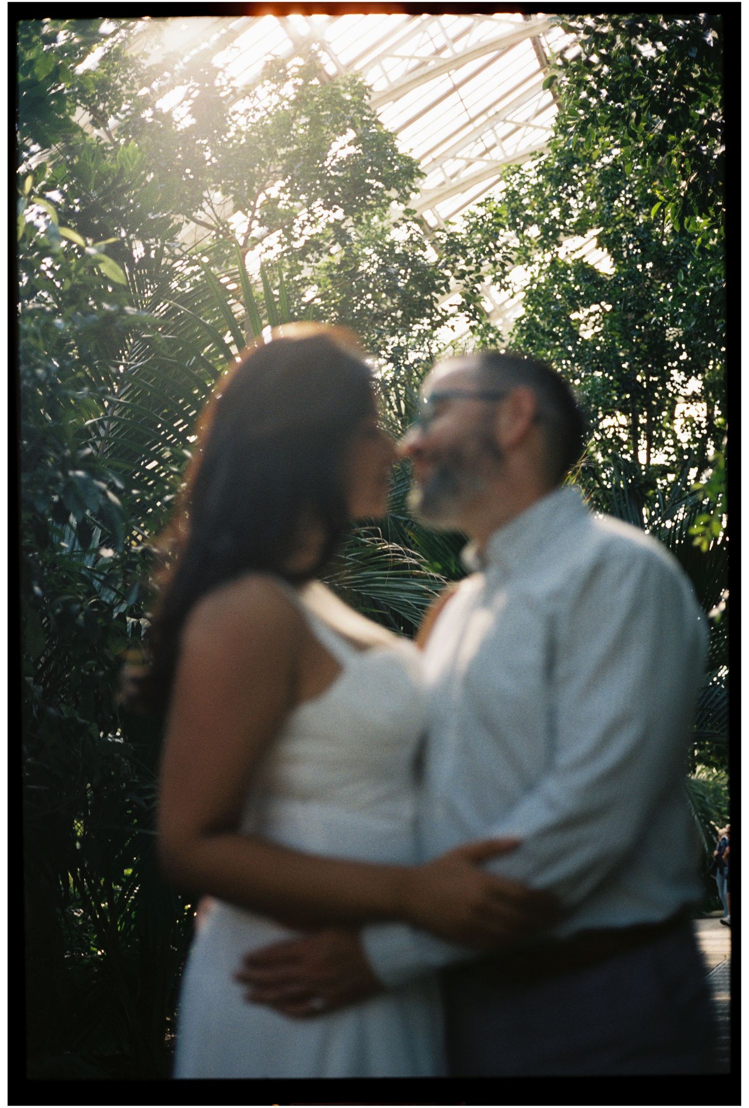 Couple sharing a romantic moment in a sunlit greenhouse surrounded by lush tropical greenery, shot on film.