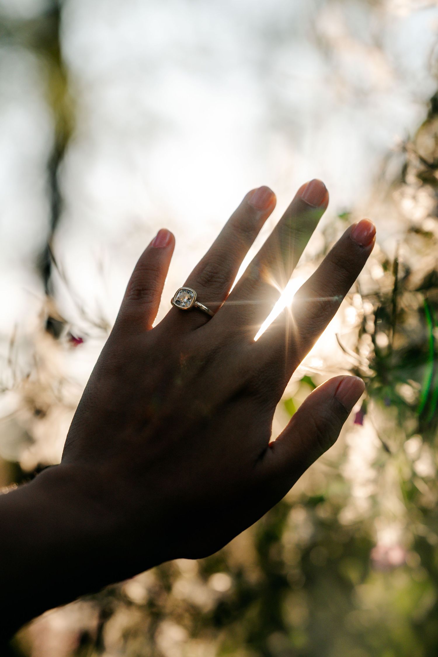 Hand with diamond engagement ring silhouetted against sunlight shining through spring blossoms outdoors.