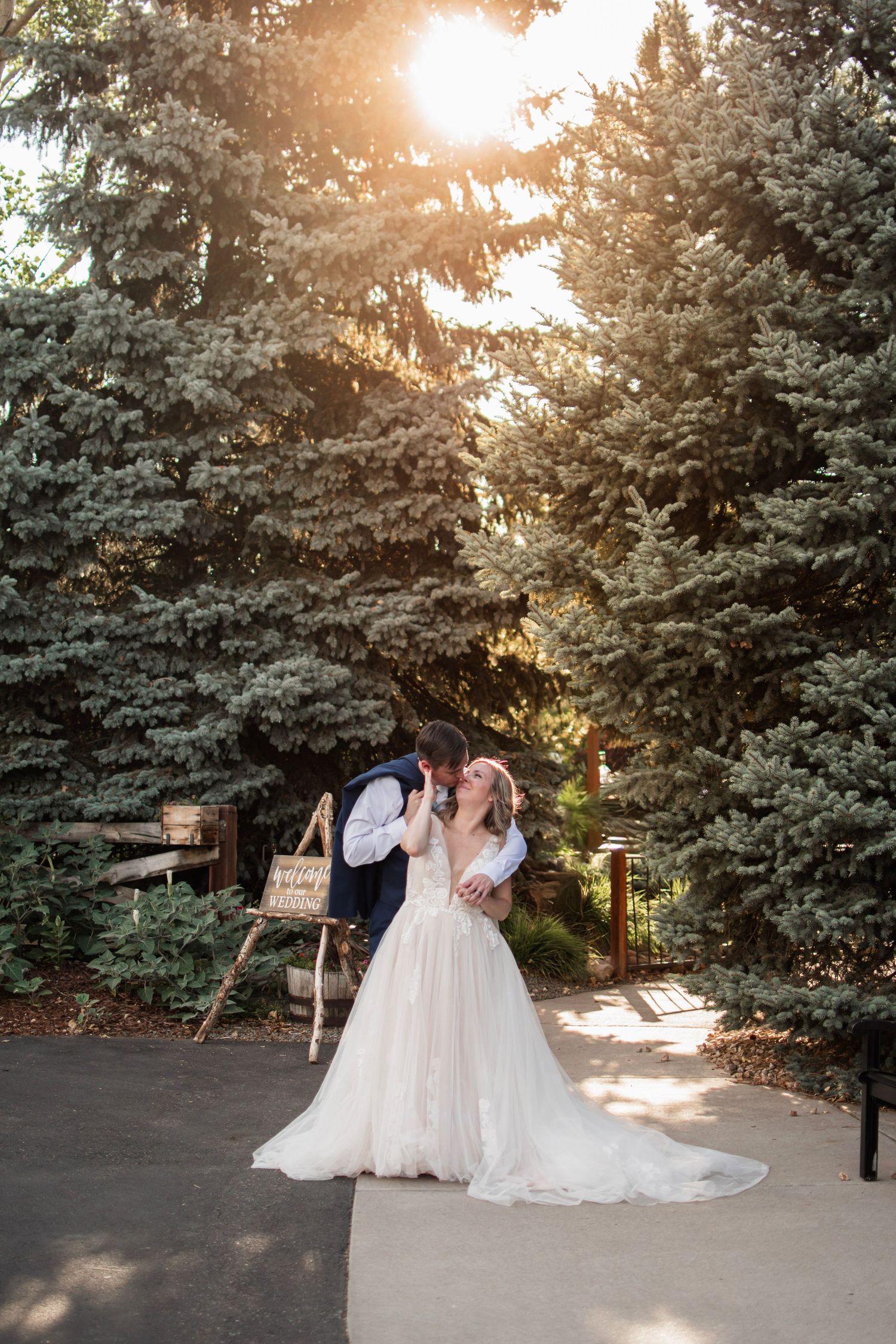 A bride and groom share a romantic kiss outdoors surrounded by tall evergreen trees with golden sunlight streaming through.
