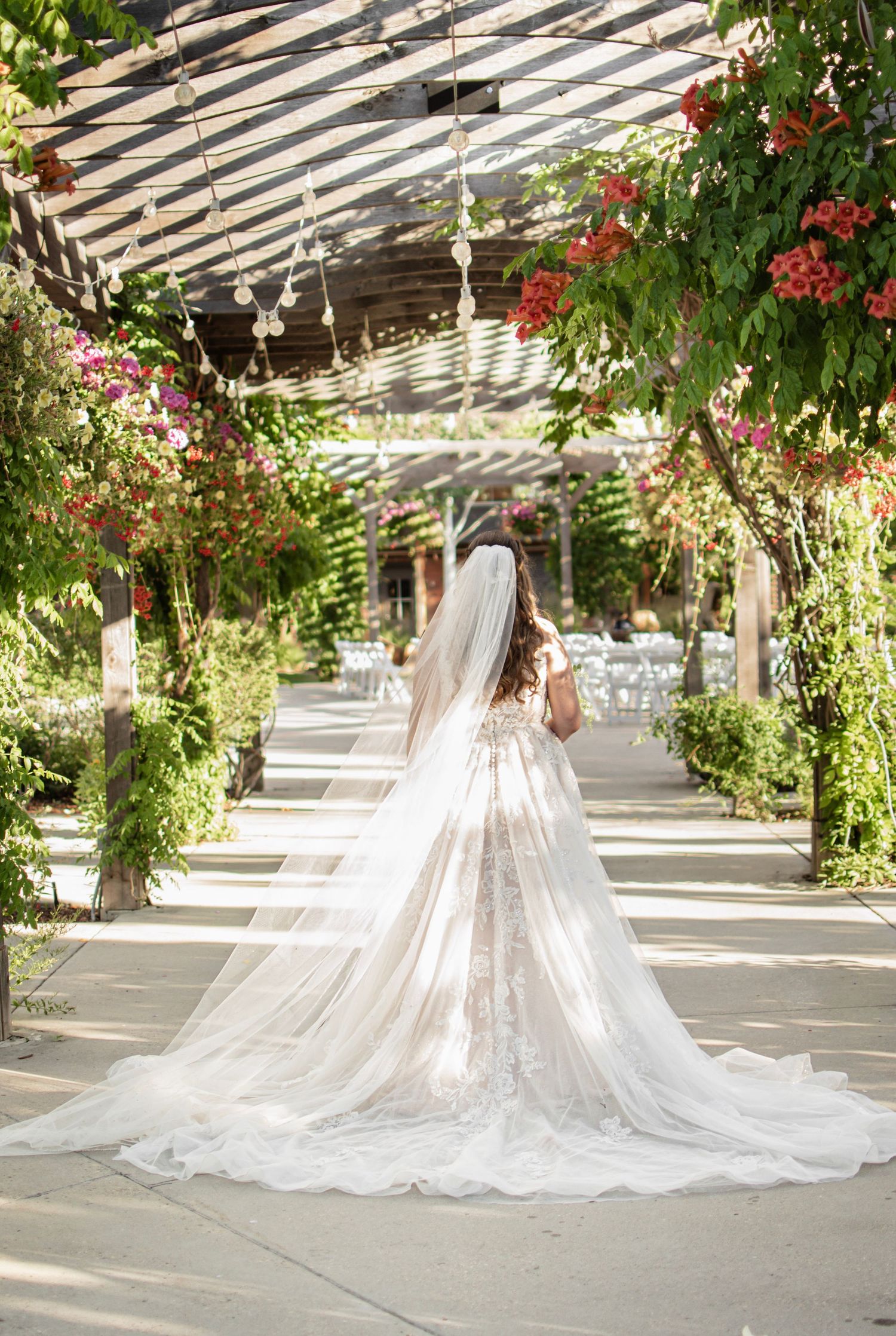 Bride in a lace wedding gown with long veil walks under a floral pergola in a lush garden venue.