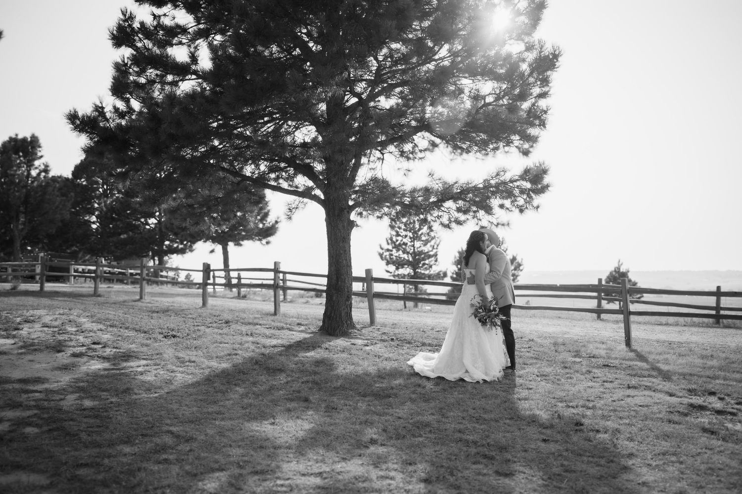 Black and white photo of a bride and groom kissing under a large tree by a wooden fence at golden hour.