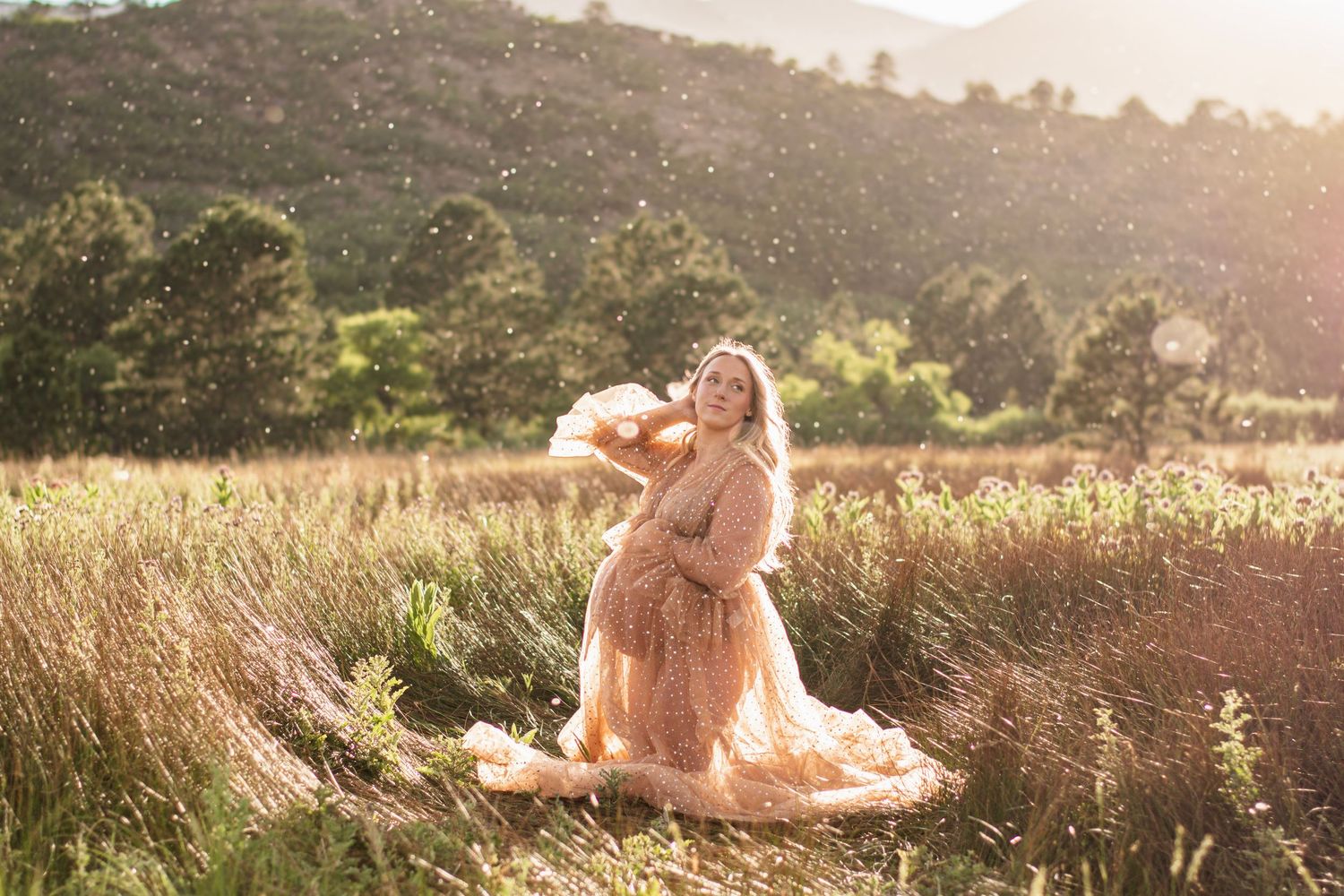 Pregnant woman in flowing peach gown poses in sunlit golden field with mountains in background.