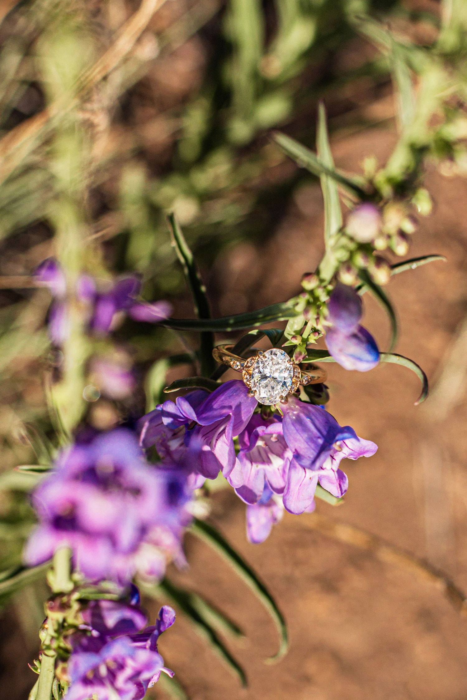 Gold diamond engagement ring resting on purple wildflowers in a natural outdoor setting.