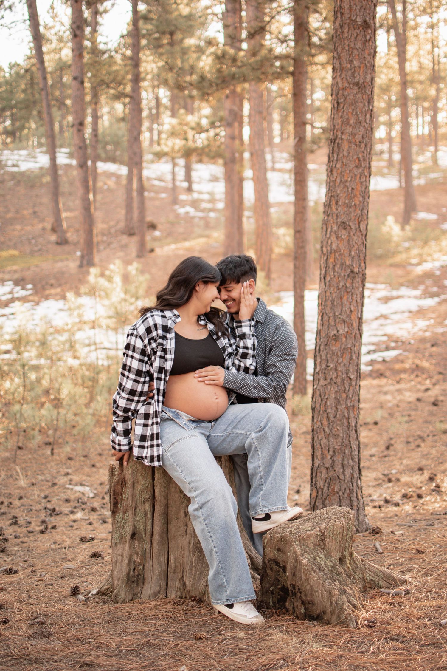 Couple sharing a tender moment on a tree stump in a pine forest, with the woman showing her pregnant belly at Fox Run Regional Park