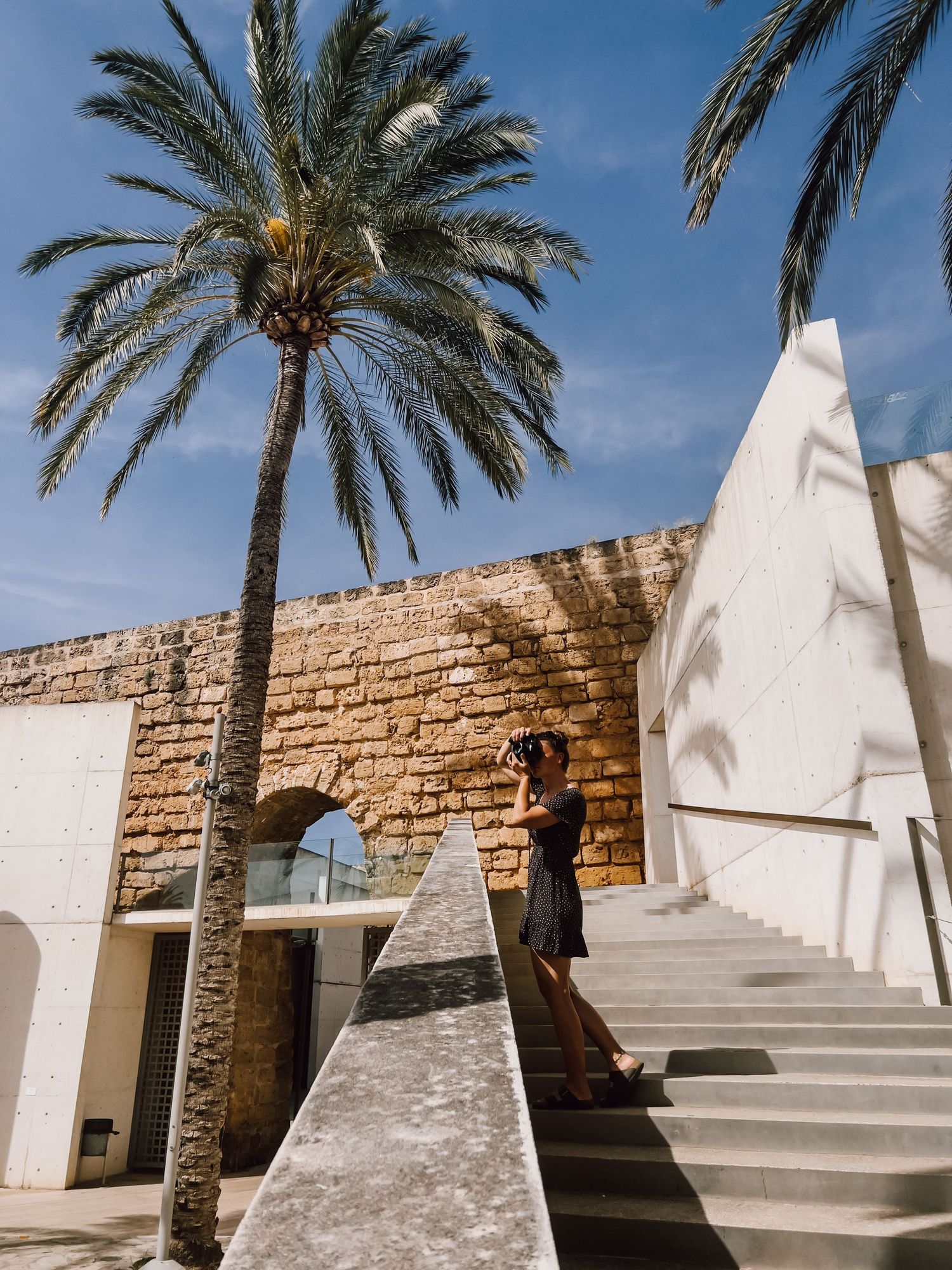 Woman with camera on stairs near palm tree and stone wall in sunny location.