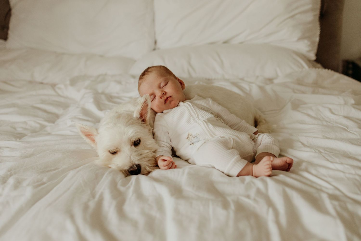 Sleeping newborn baby in white outfit cuddled next to a fluffy white dog on a bed.