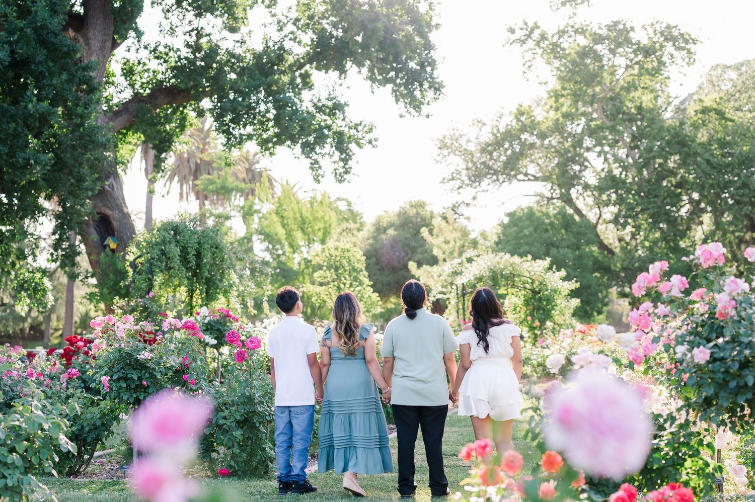 A family of four stands together in a lush garden path lined with blooming roses.