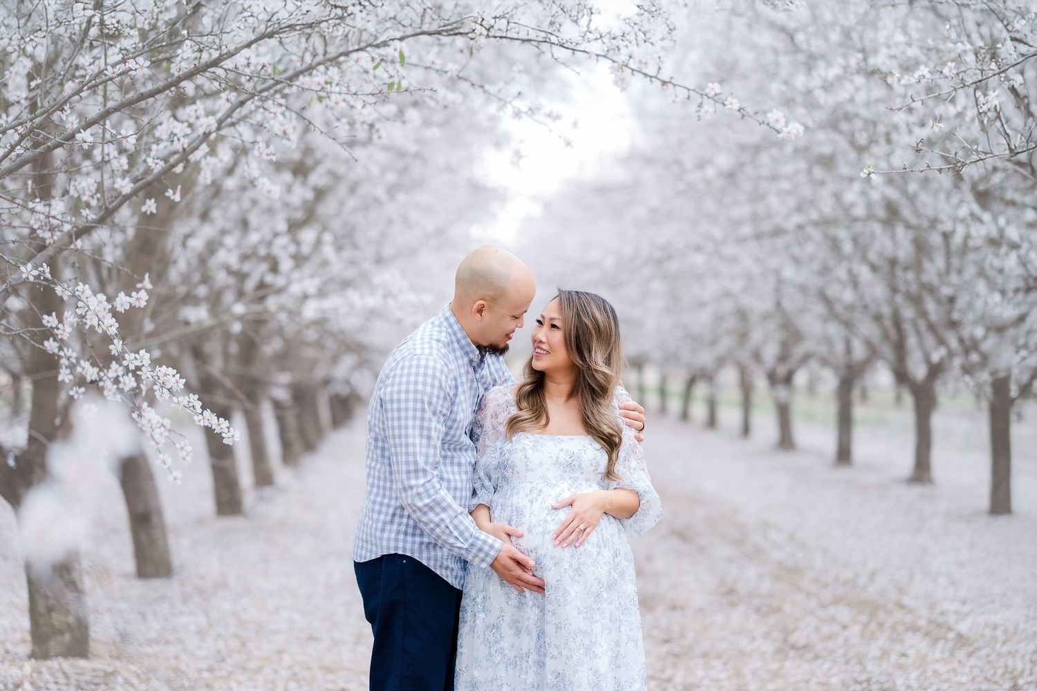 A couple shares a tender moment together in a dreamy almond orchard with white blossoms on a misty spring day.