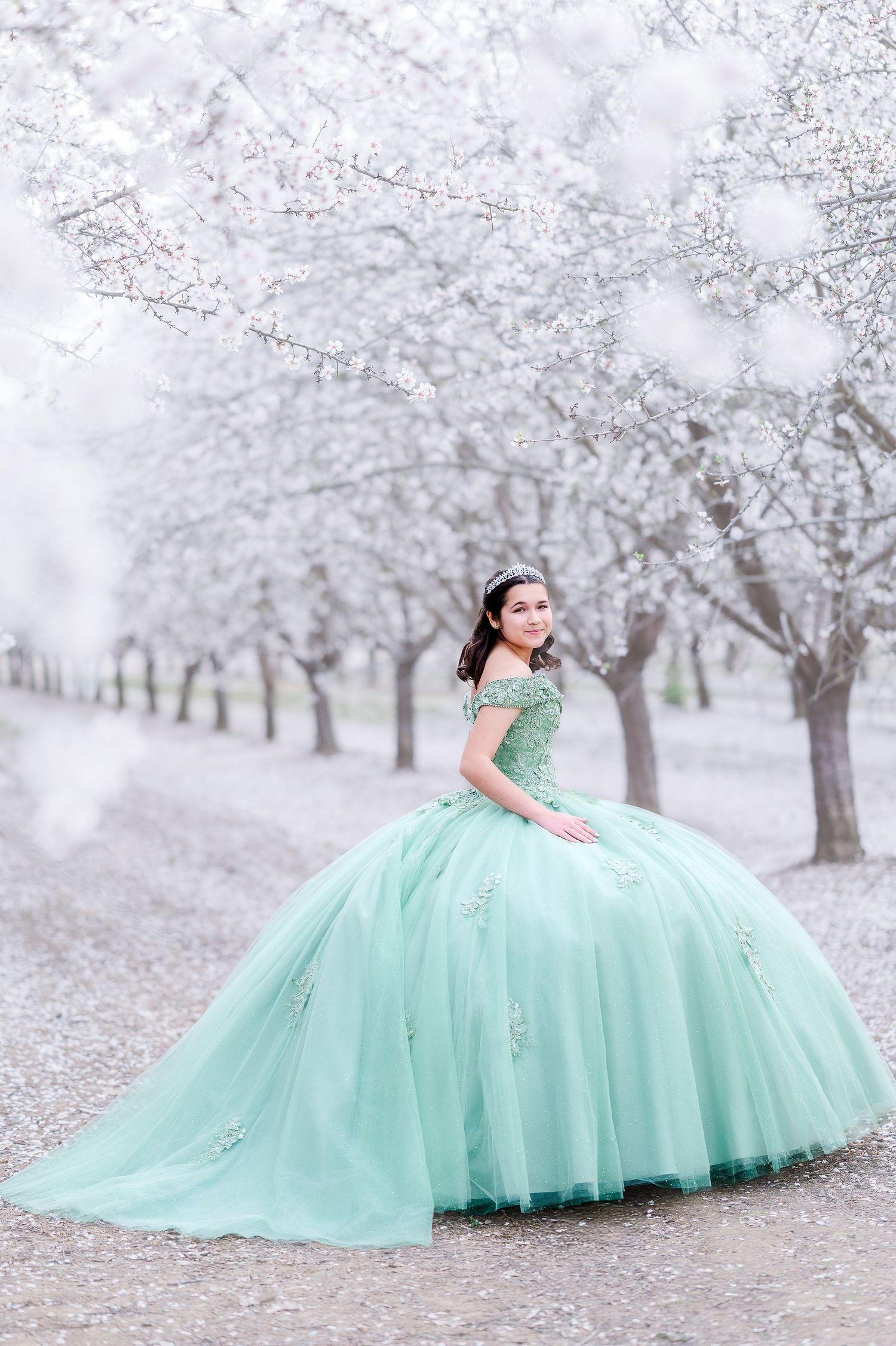 A stunning mint green ball gown with tulle skirt photographed in a dreamy winter orchard setting.