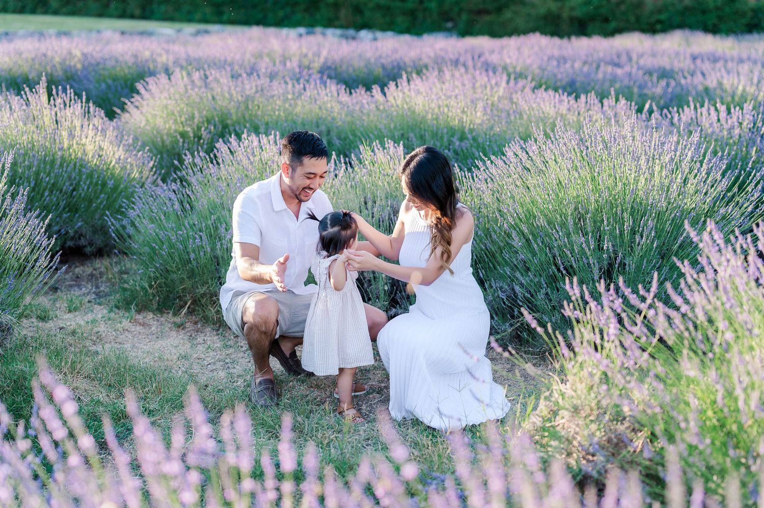 A family kneeling together in a beautiful purple lavender field.