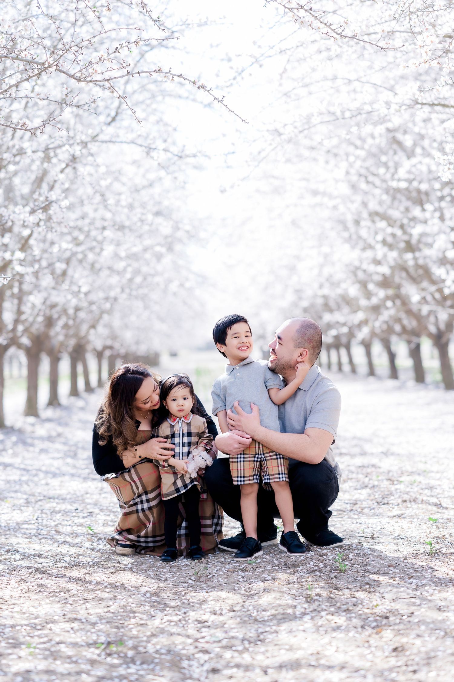 Family sharing laughs and cuddles while sitting beneath flowering trees during a spring photoshoot.