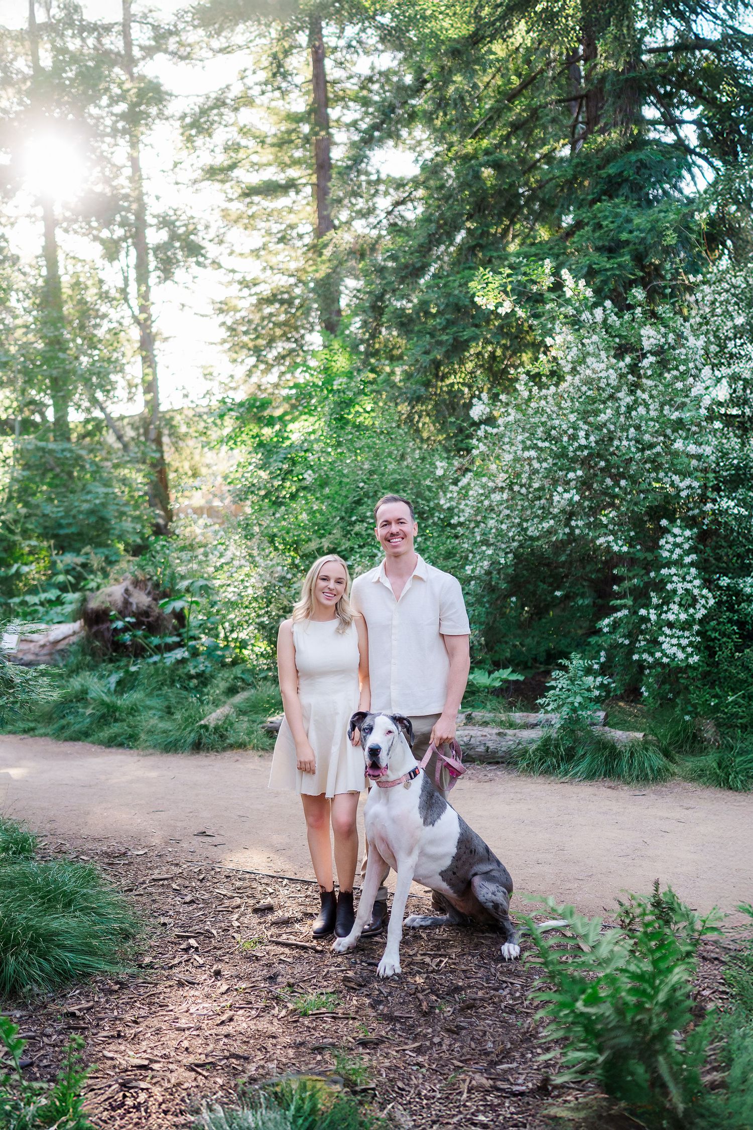 A couple poses with their large spotted dog on a forest trail during golden hour.