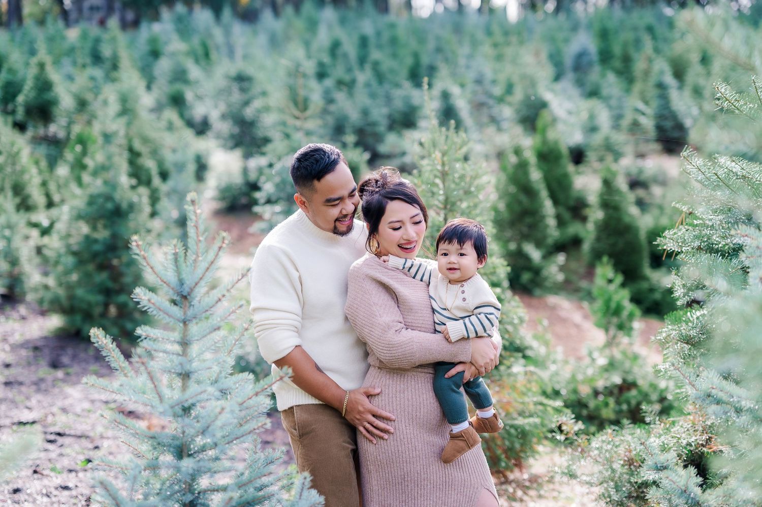 Family of three smiling at a Christmas tree farm, parents holding toddler among rows of green pine trees.