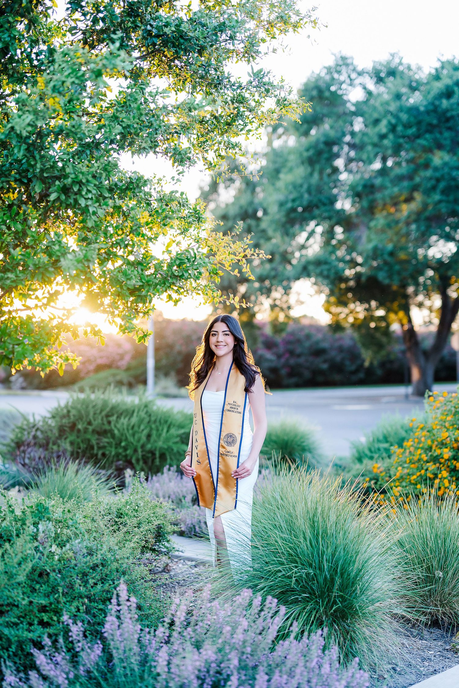 Graduate portrait in a garden with blooming lavender and ornamental grasses at sunset.