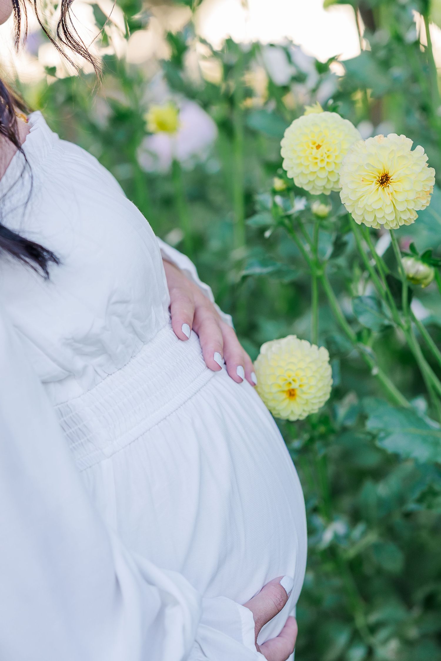 Pregnant woman in white dress cradling baby bump among yellow dahlia flowers in a lush green garden. Sacramento Maternity Photographer