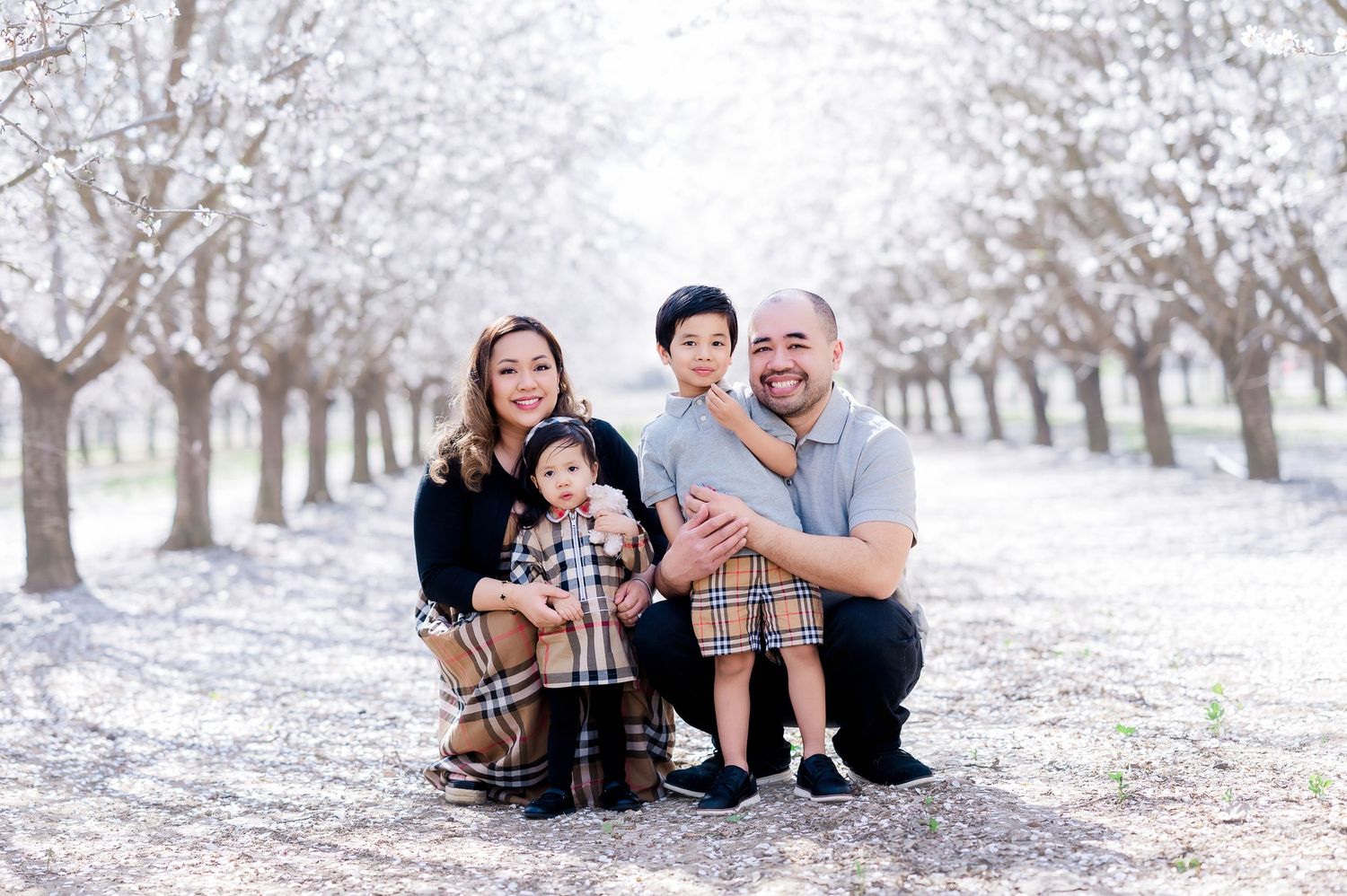 A family sits together on a path lined with blooming almond trees in an orchard during springtime.