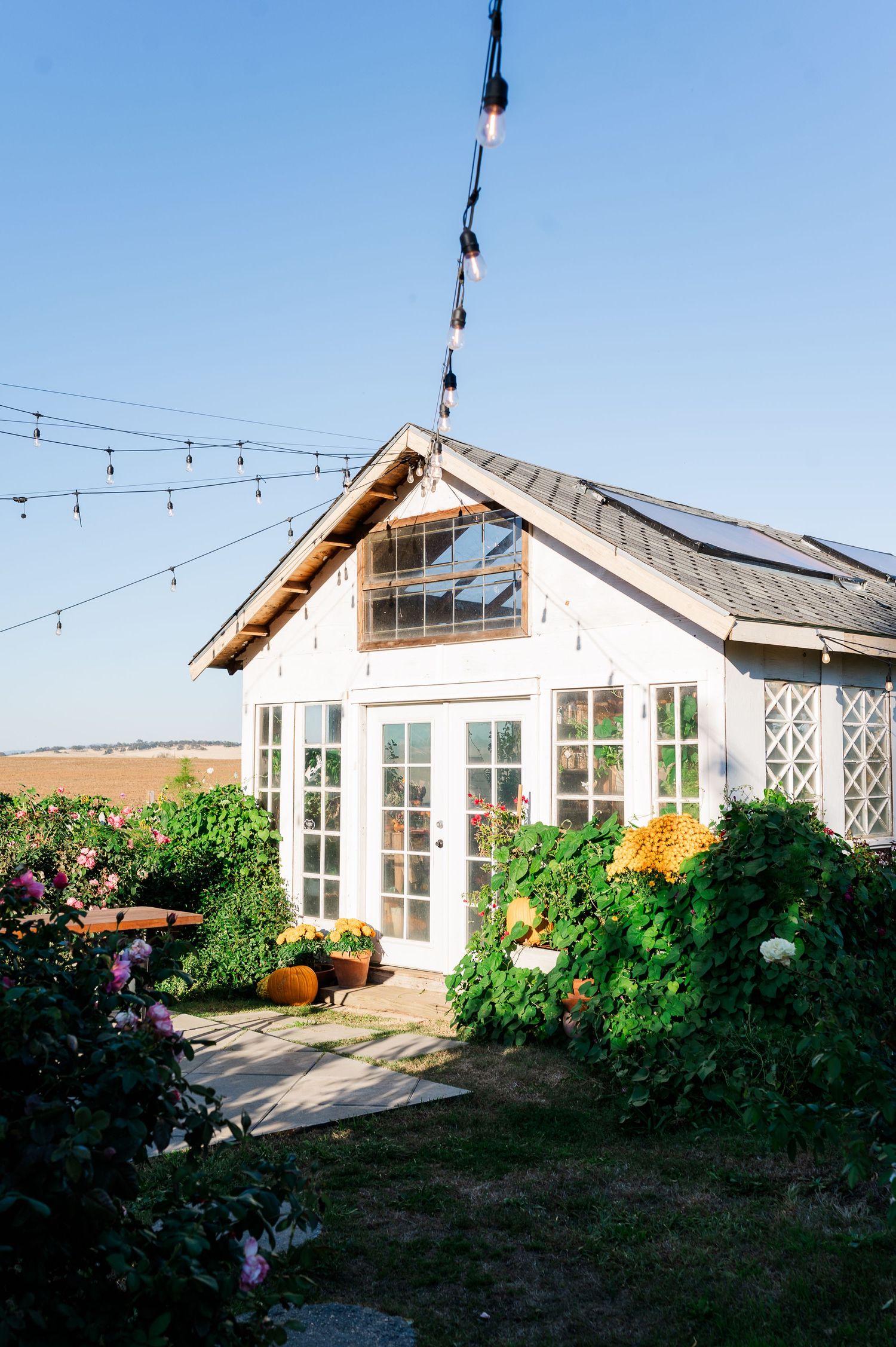 Charming white greenhouse with string lights, lush greenery, yellow flowers, and French doors under a clear blue sky.
