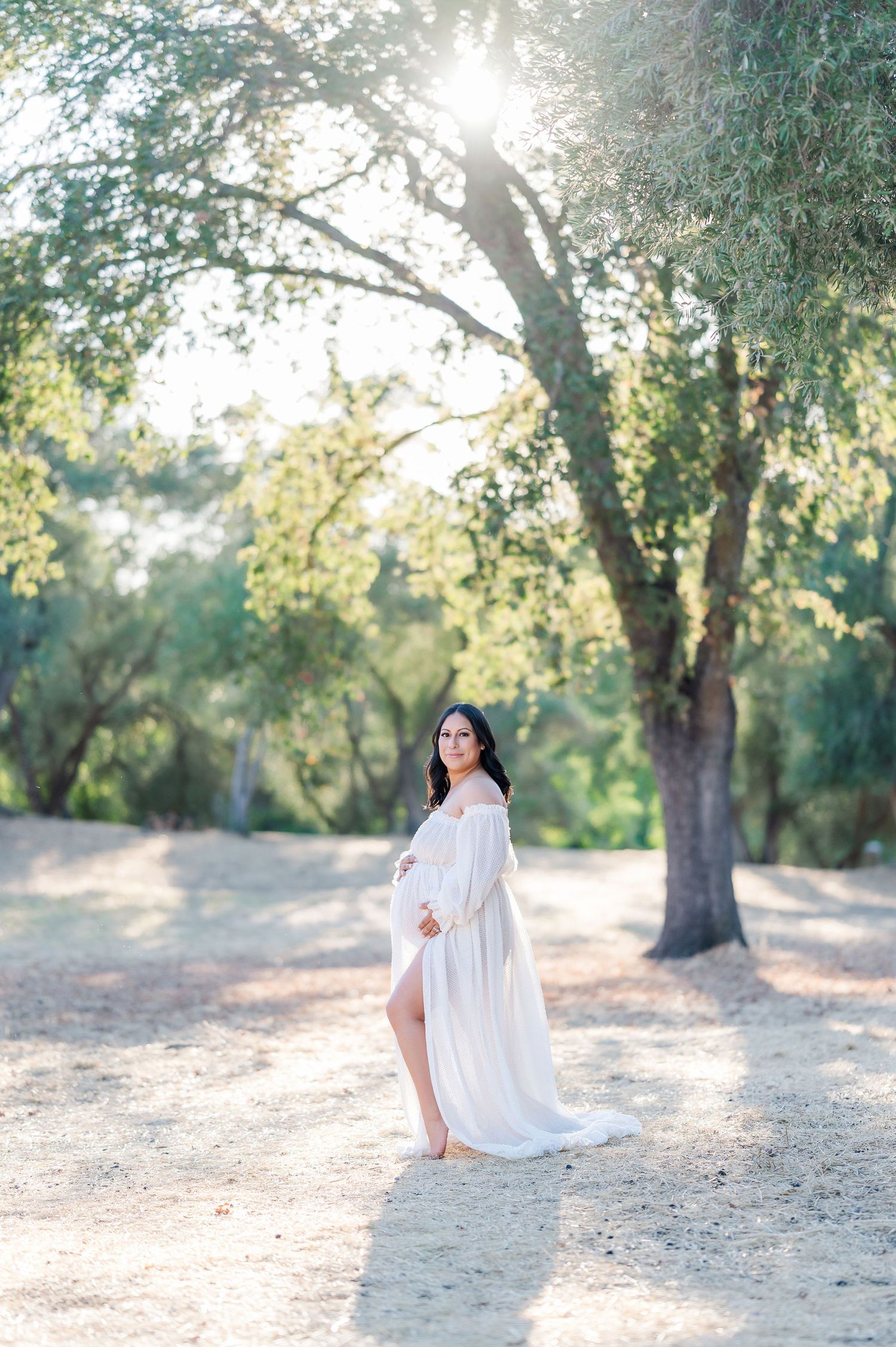 A woman in a flowing white dress poses gracefully in a sun-dappled olive grove during golden hour.