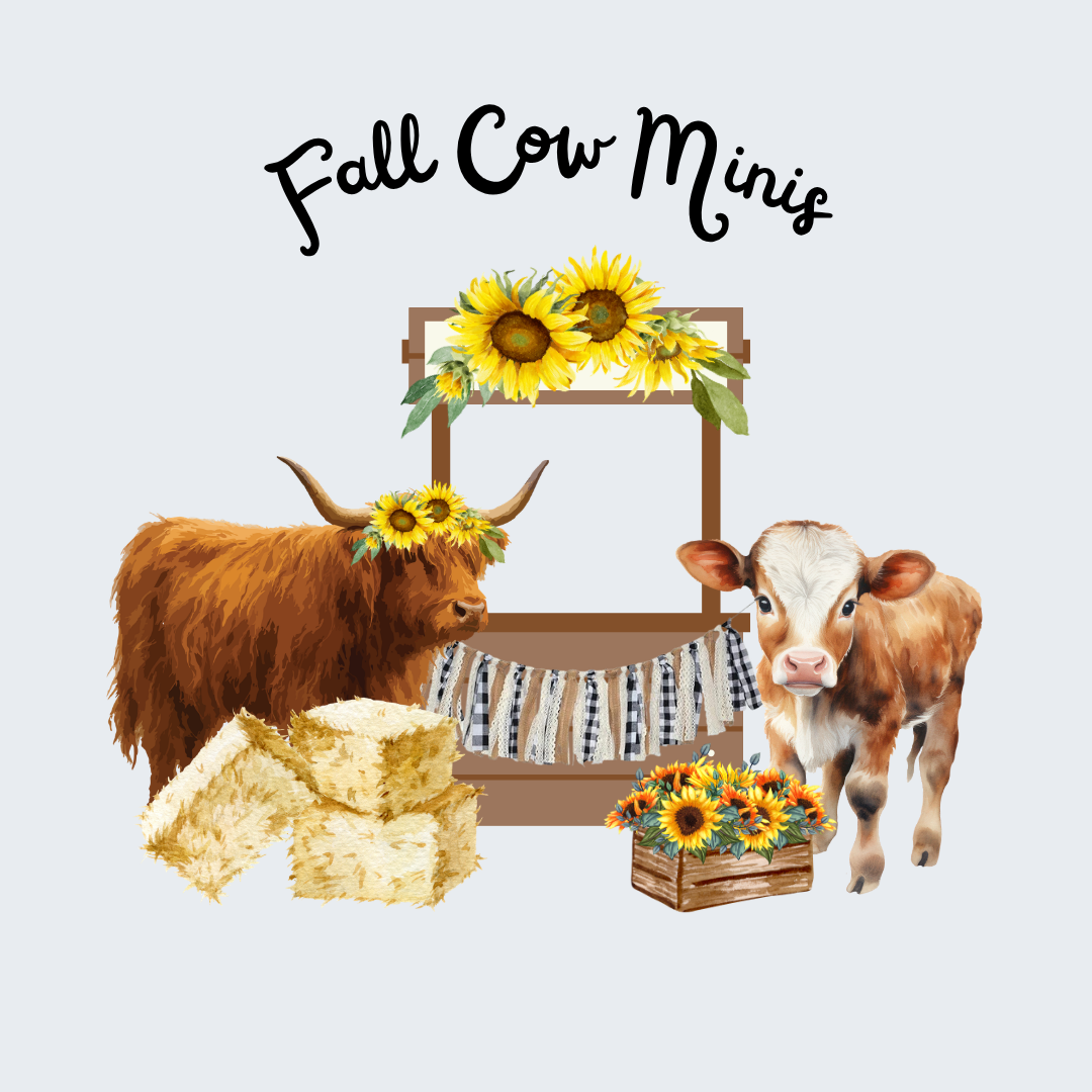 Fall Cow Minis illustration featuring a highland cow, calf, sunflowers, hay bales, and a wooden stand with blue bunting.