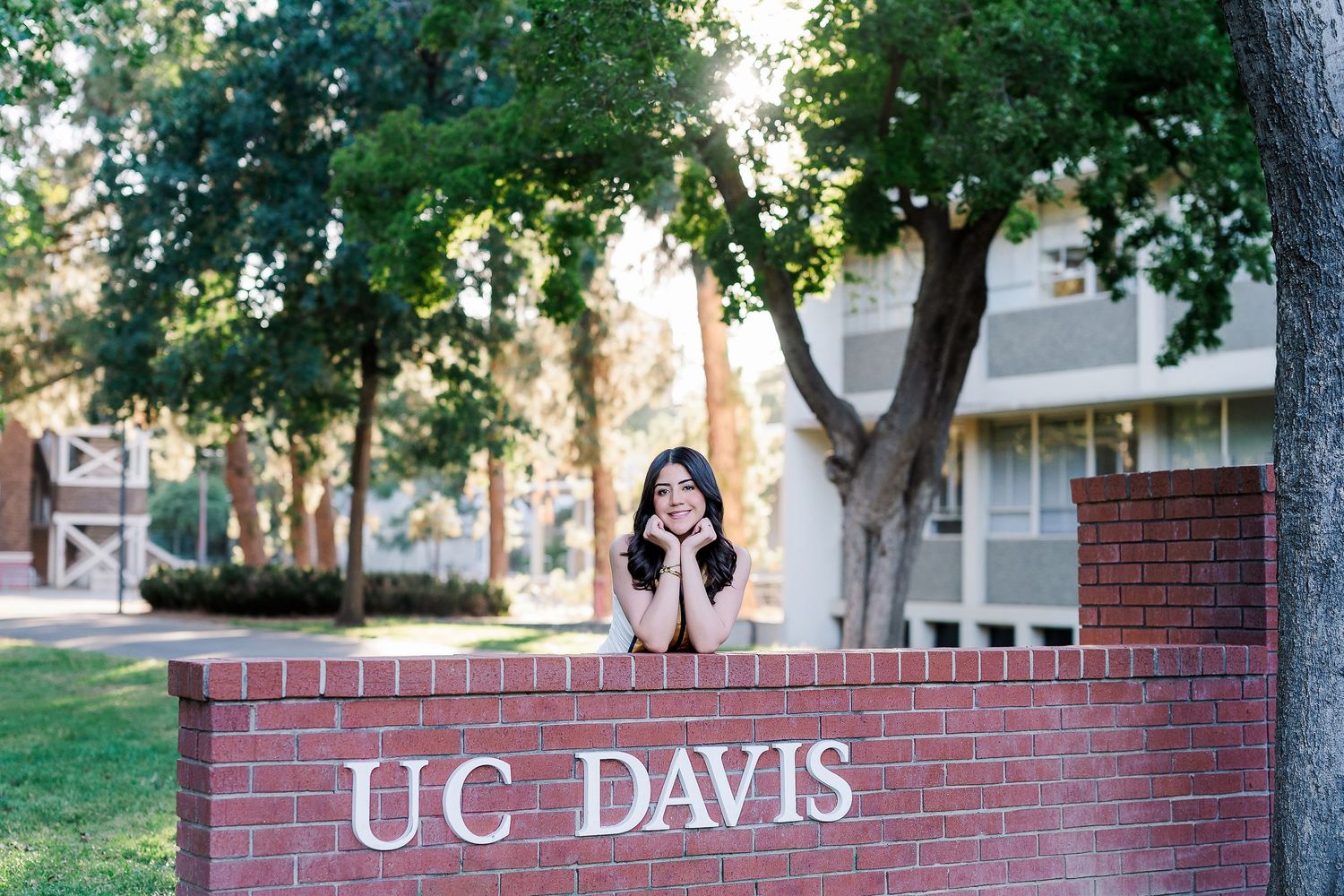UC Davis brick entrance sign with trees and campus buildings visible in background.