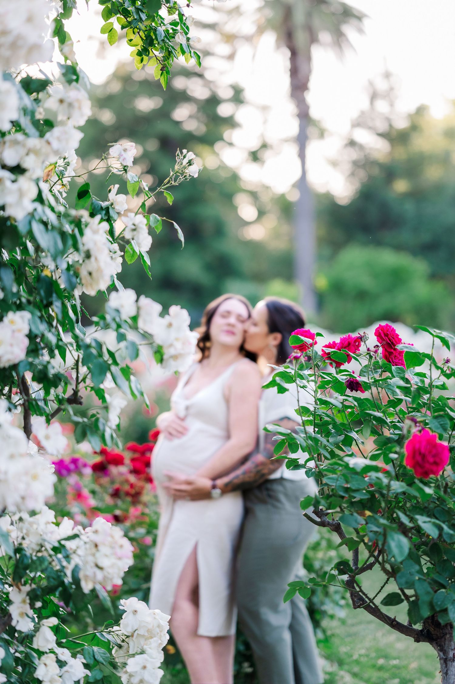 A romantic couple embraces in a garden surrounded by blooming white and red roses during golden hour.