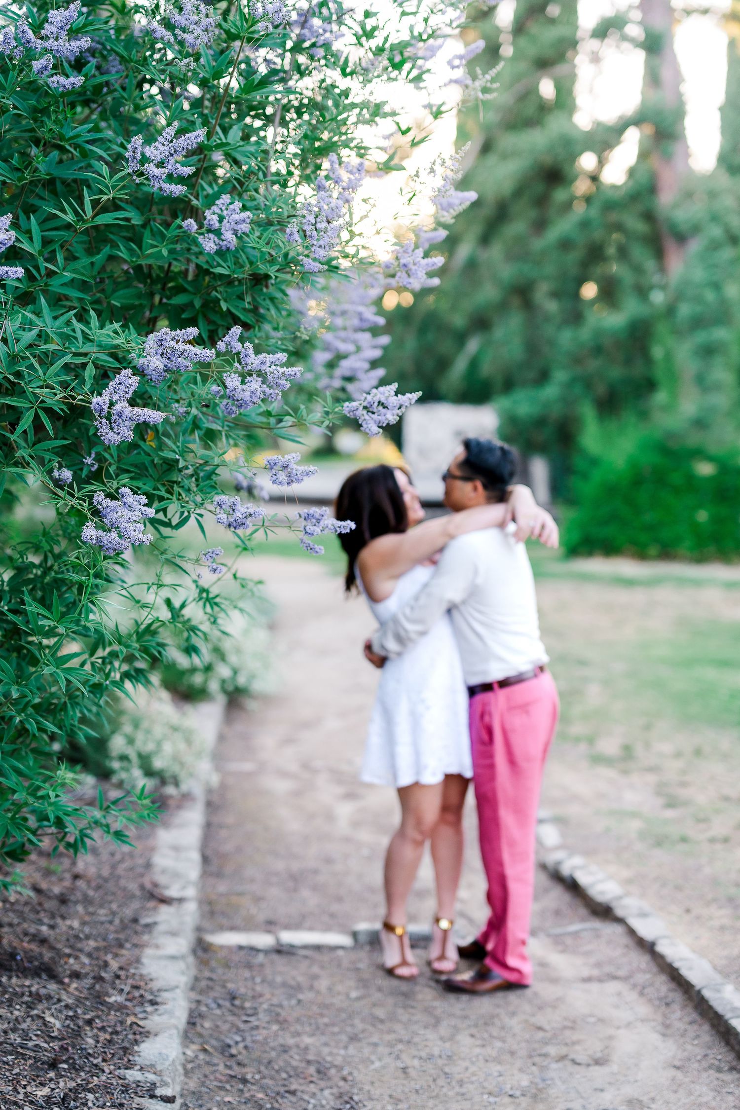 Romantic couple embracing on garden path surrounded by blooming purple flowers.