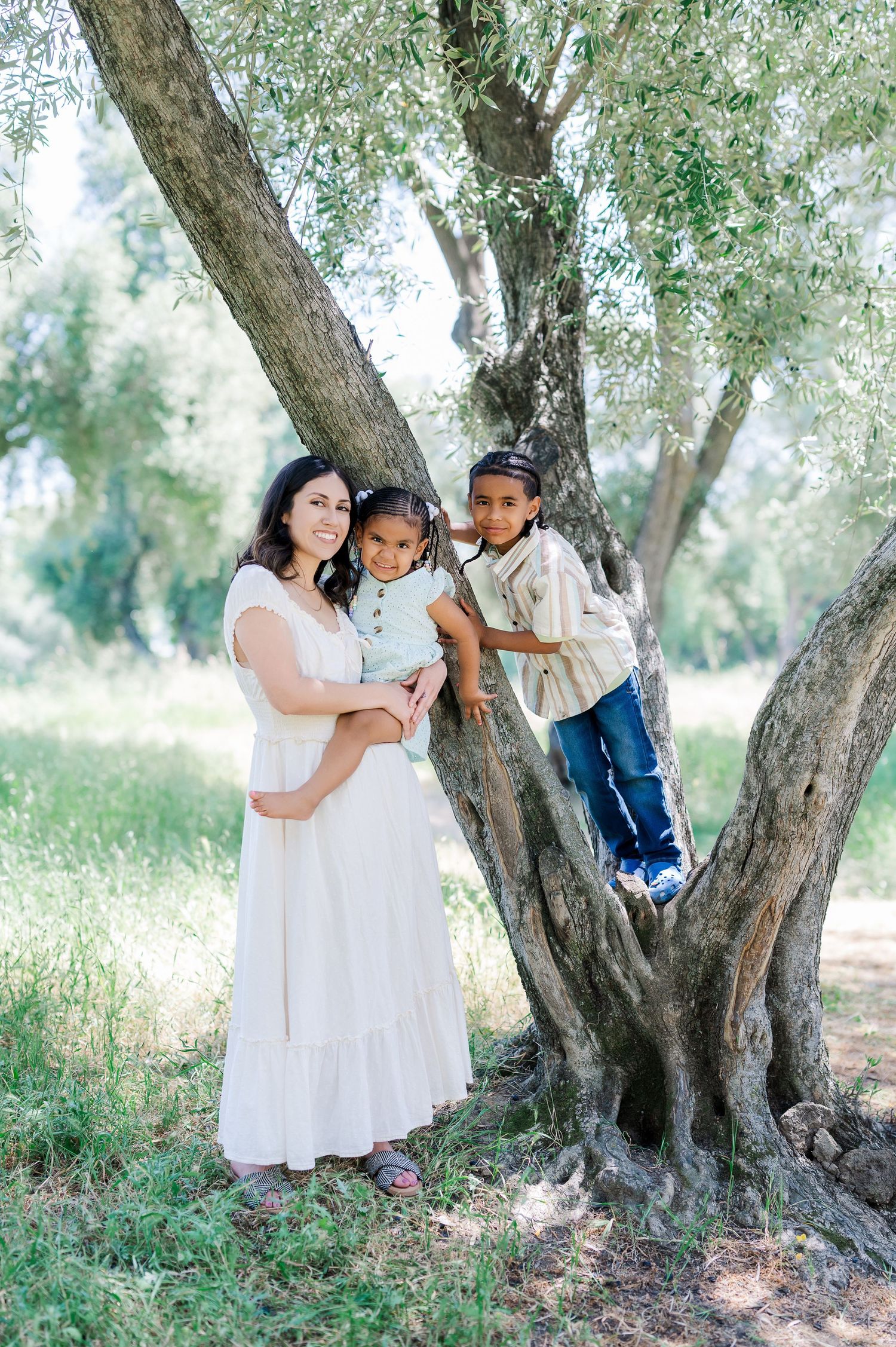 A family shares tender moments together while posing near an ancient olive tree in a sun-dappled grove.