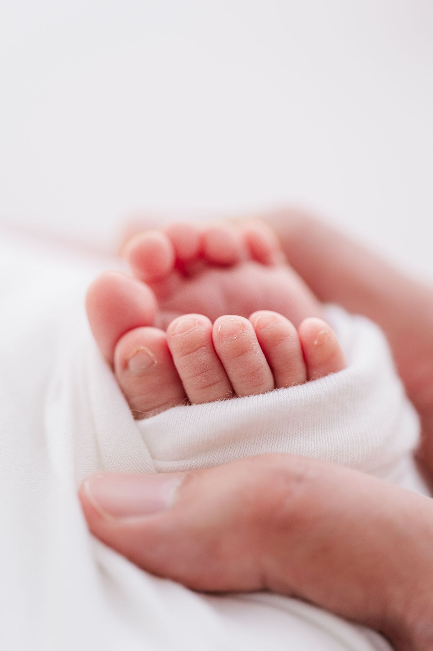 Close-up of a parent's hands gently cradling tiny newborn baby feet wrapped in a soft white blanket. Sacramento Newborn Photographer