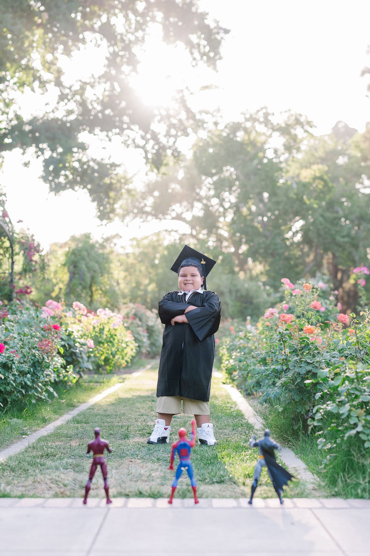 Child in graduation cap and gown stands proudly with superhero toys in a garden path surrounded by blooming roses.
