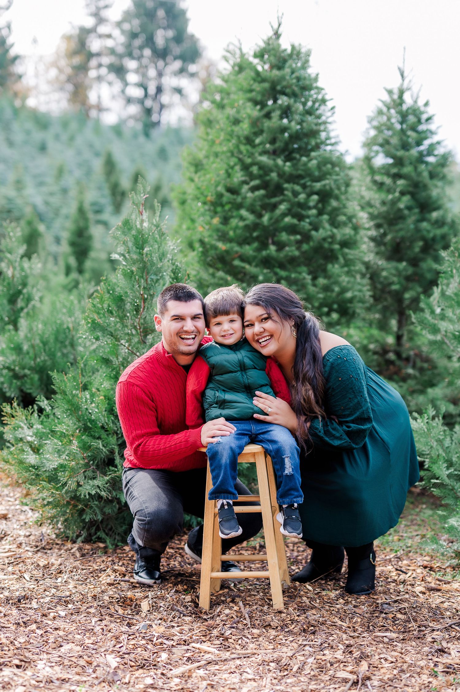 A family poses together at a Christmas tree farm surrounded by evergreen trees on a winter day.