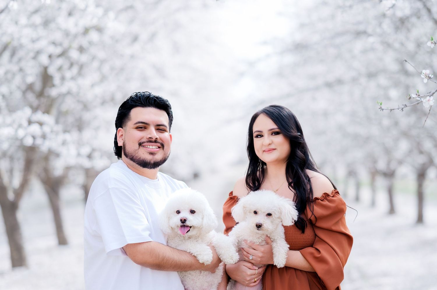 Couple holding white fluffy dogs in a winter orchard with blooming trees.